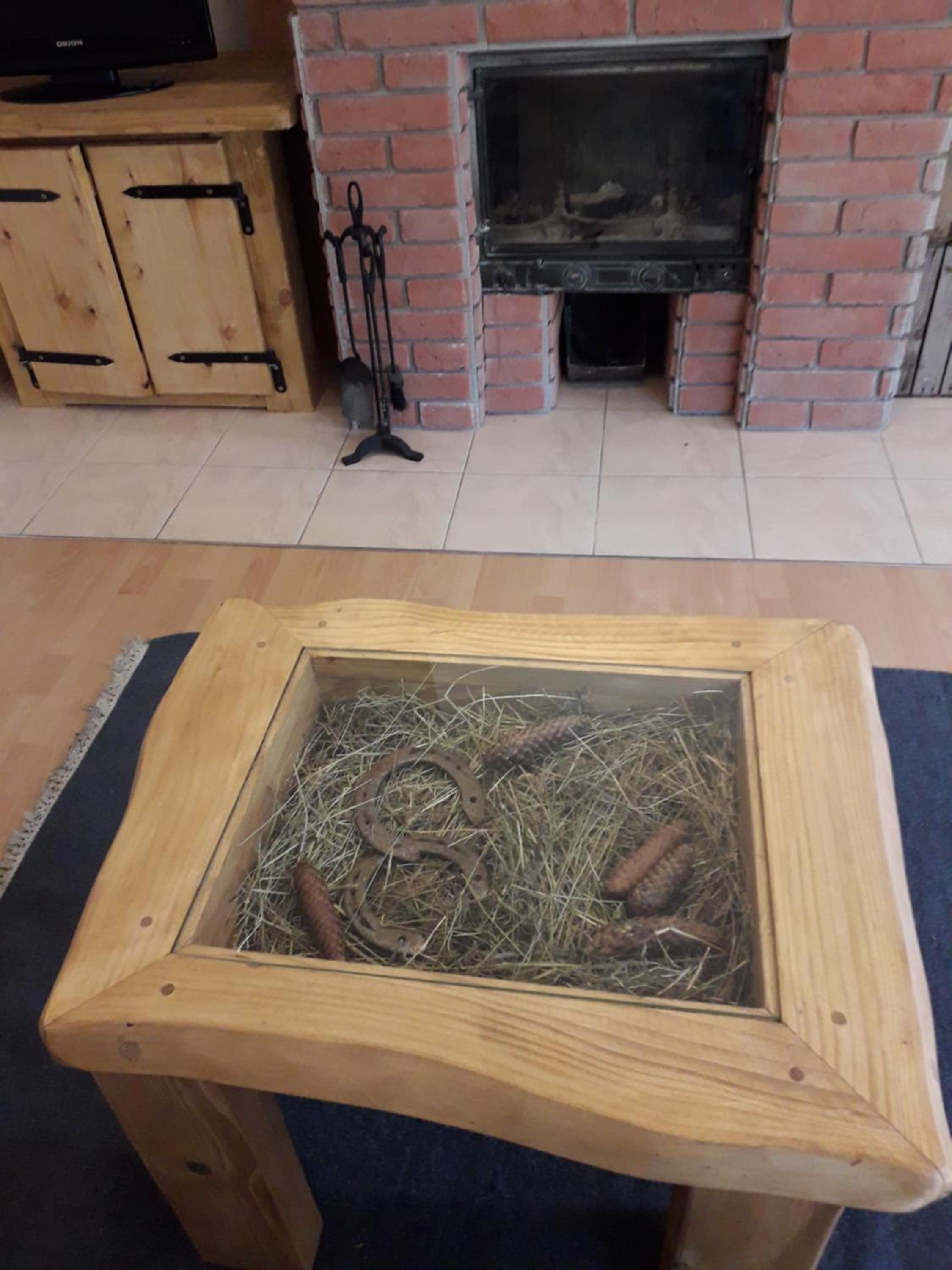 Konie2 Pokoje Gościnne
