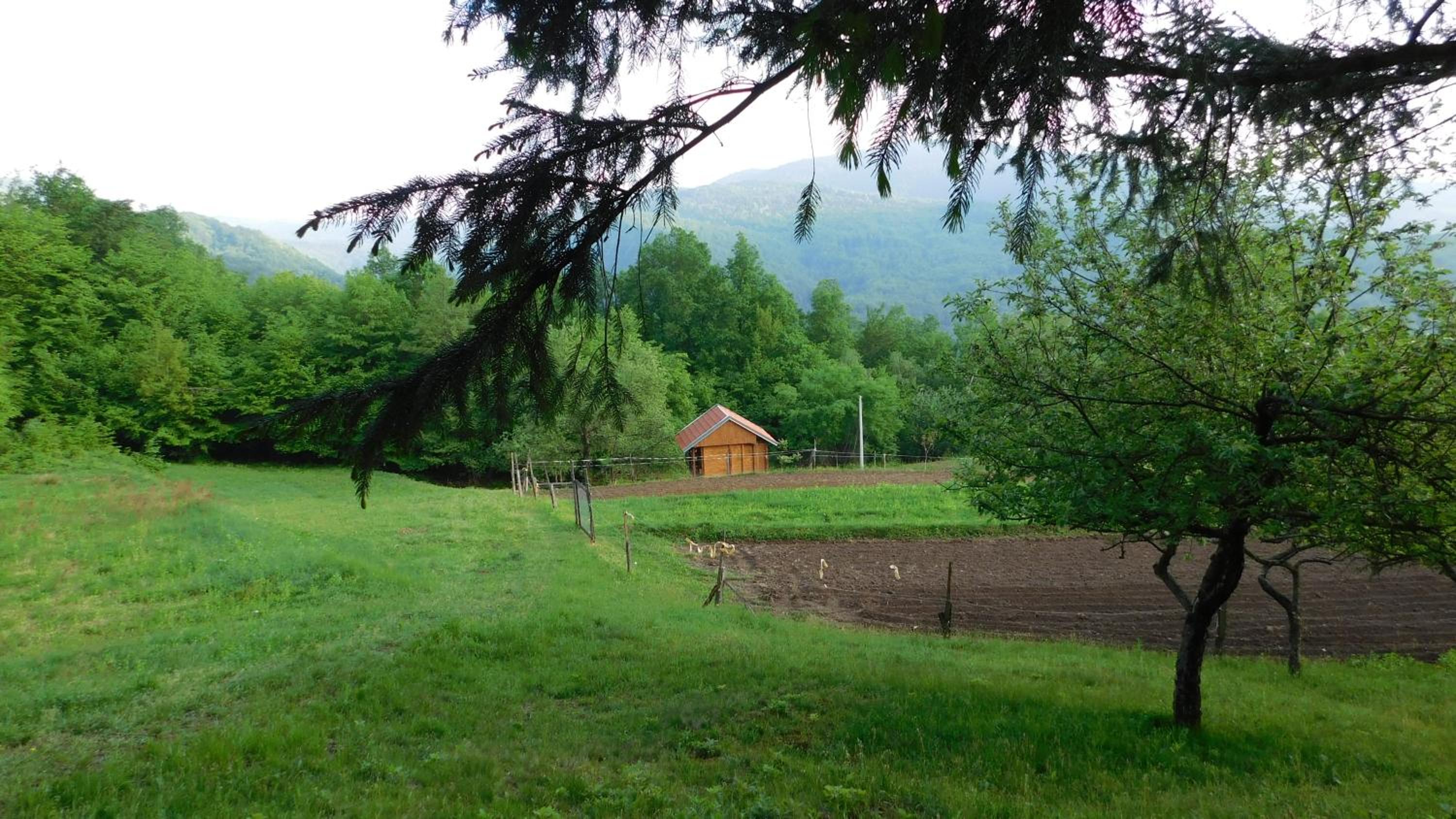 Photo 24