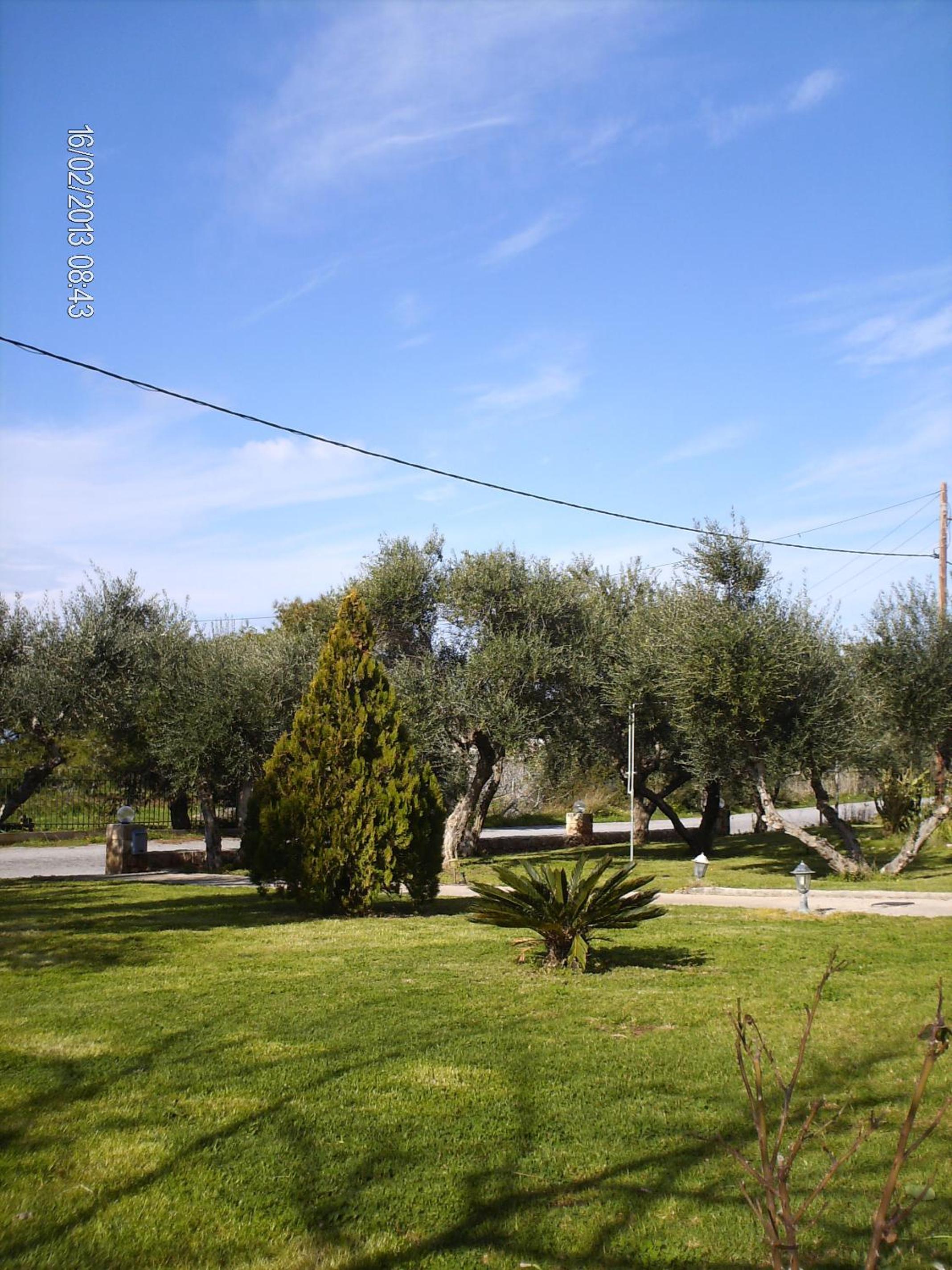 Photo 33