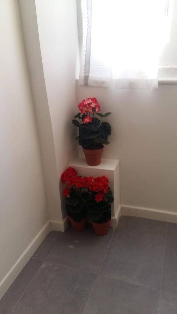 Photo 33