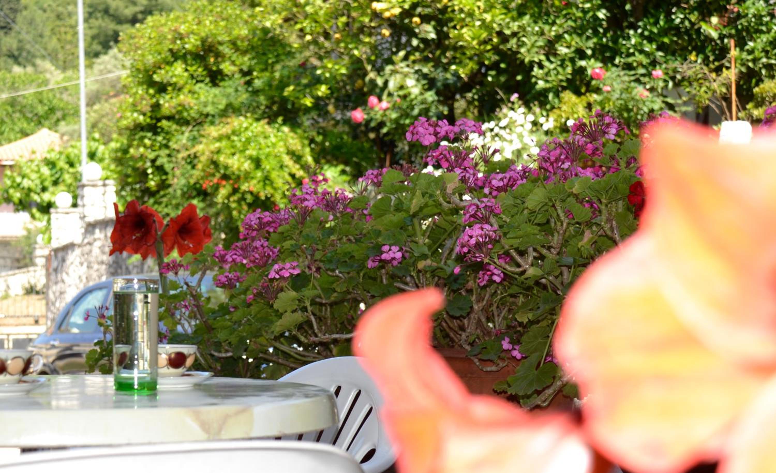 Geroulis Stefanos Studios