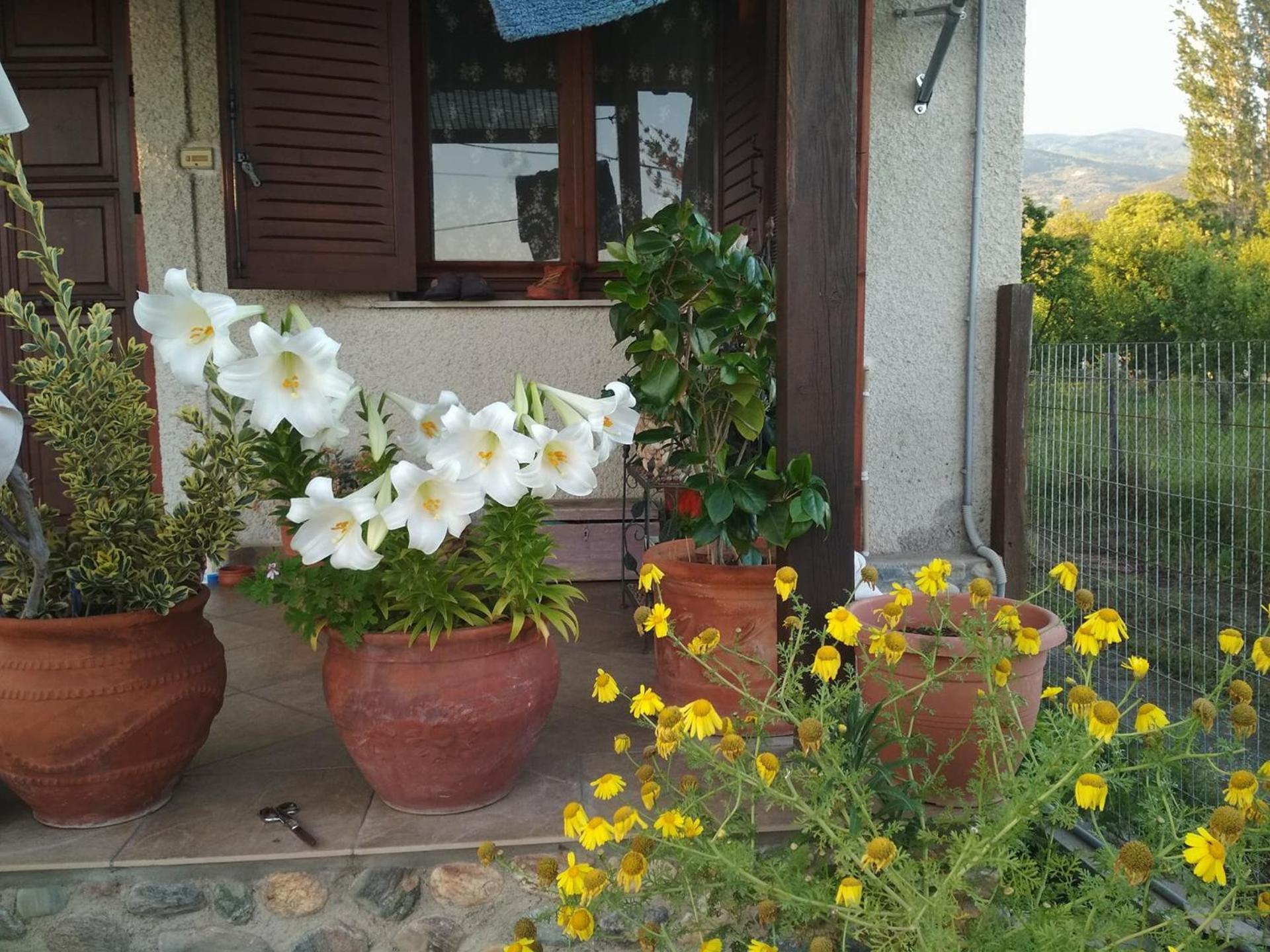 Photo 35