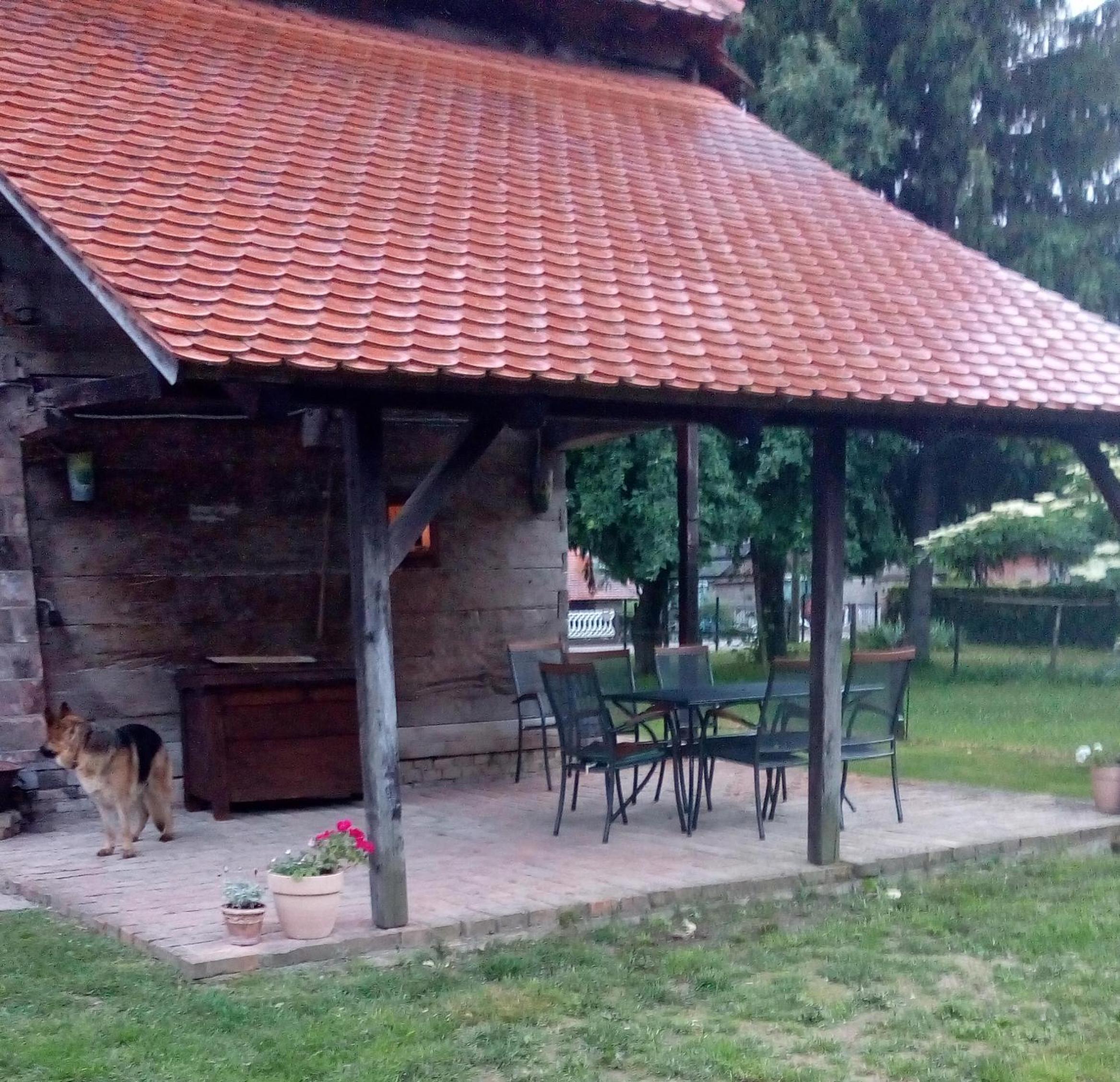 Photo 15