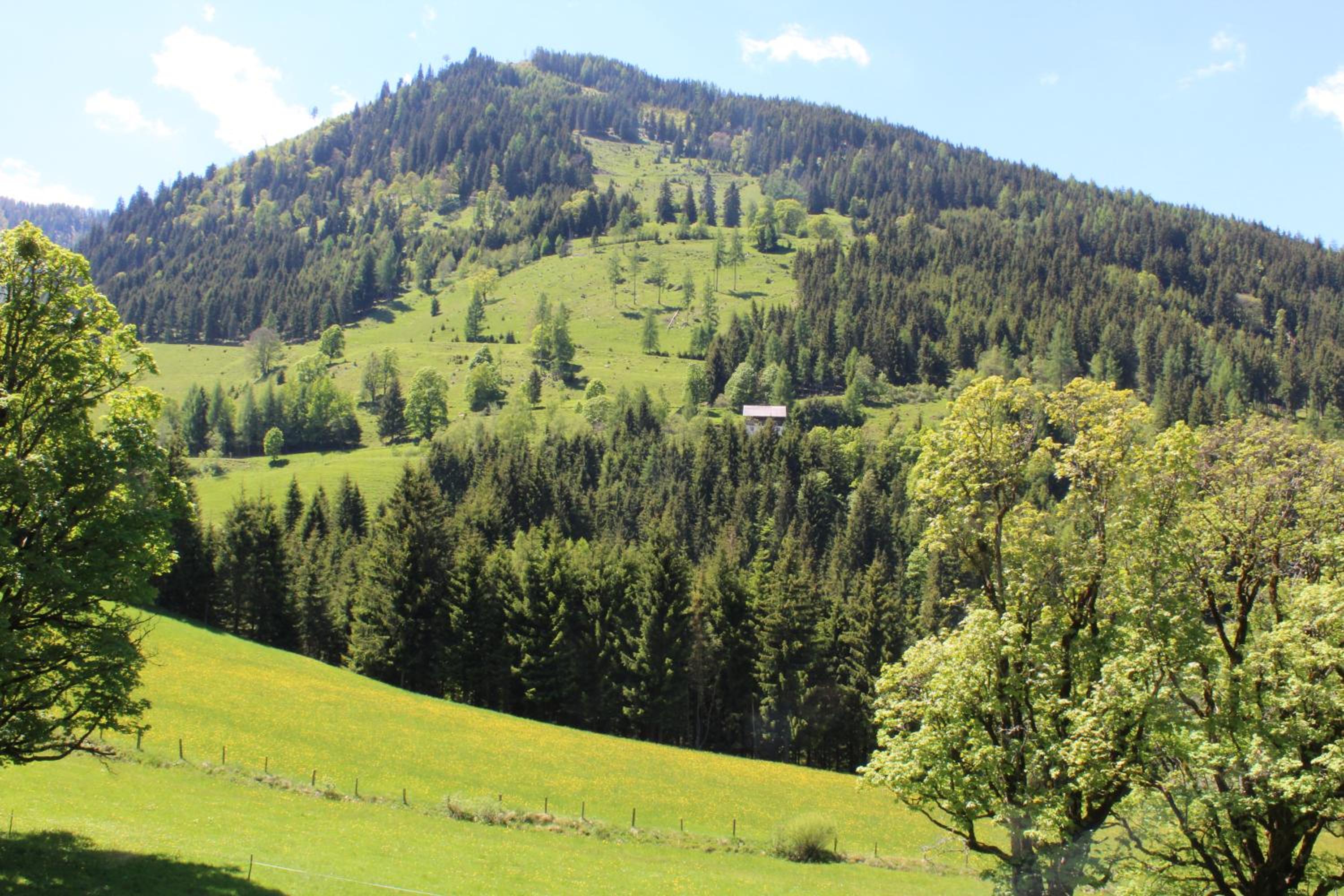 Zauneralm