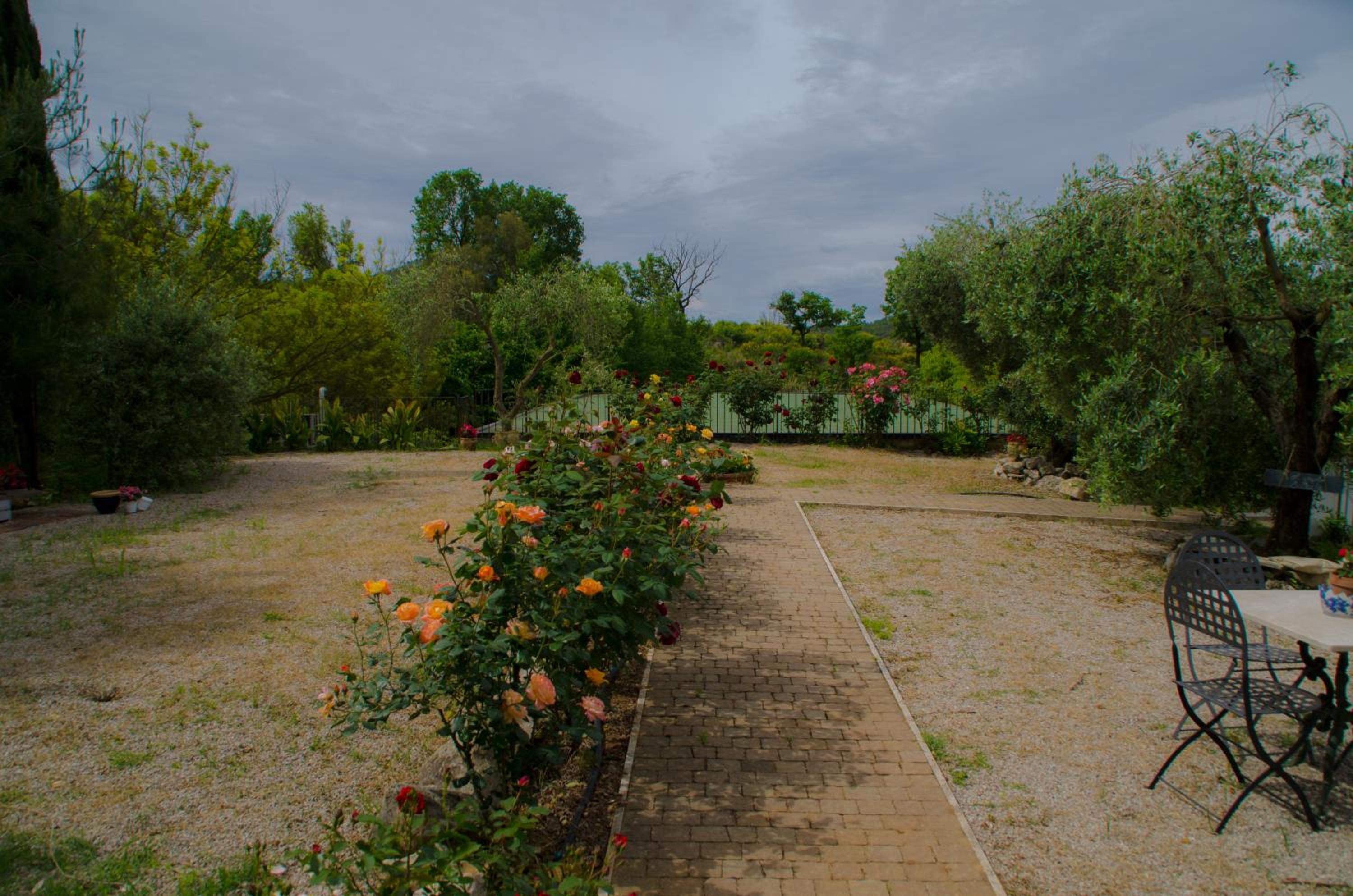Photo 26