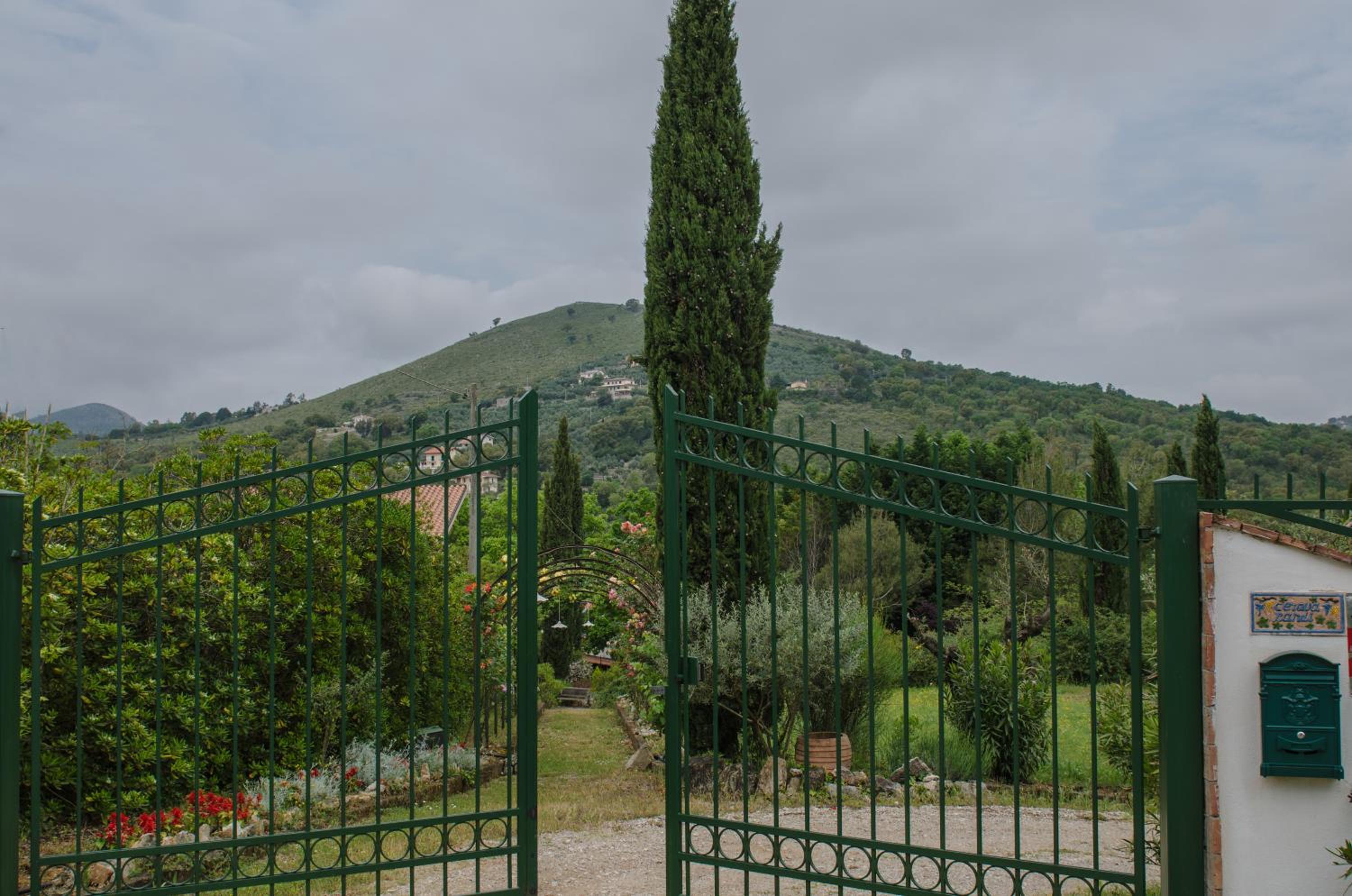 Photo 21