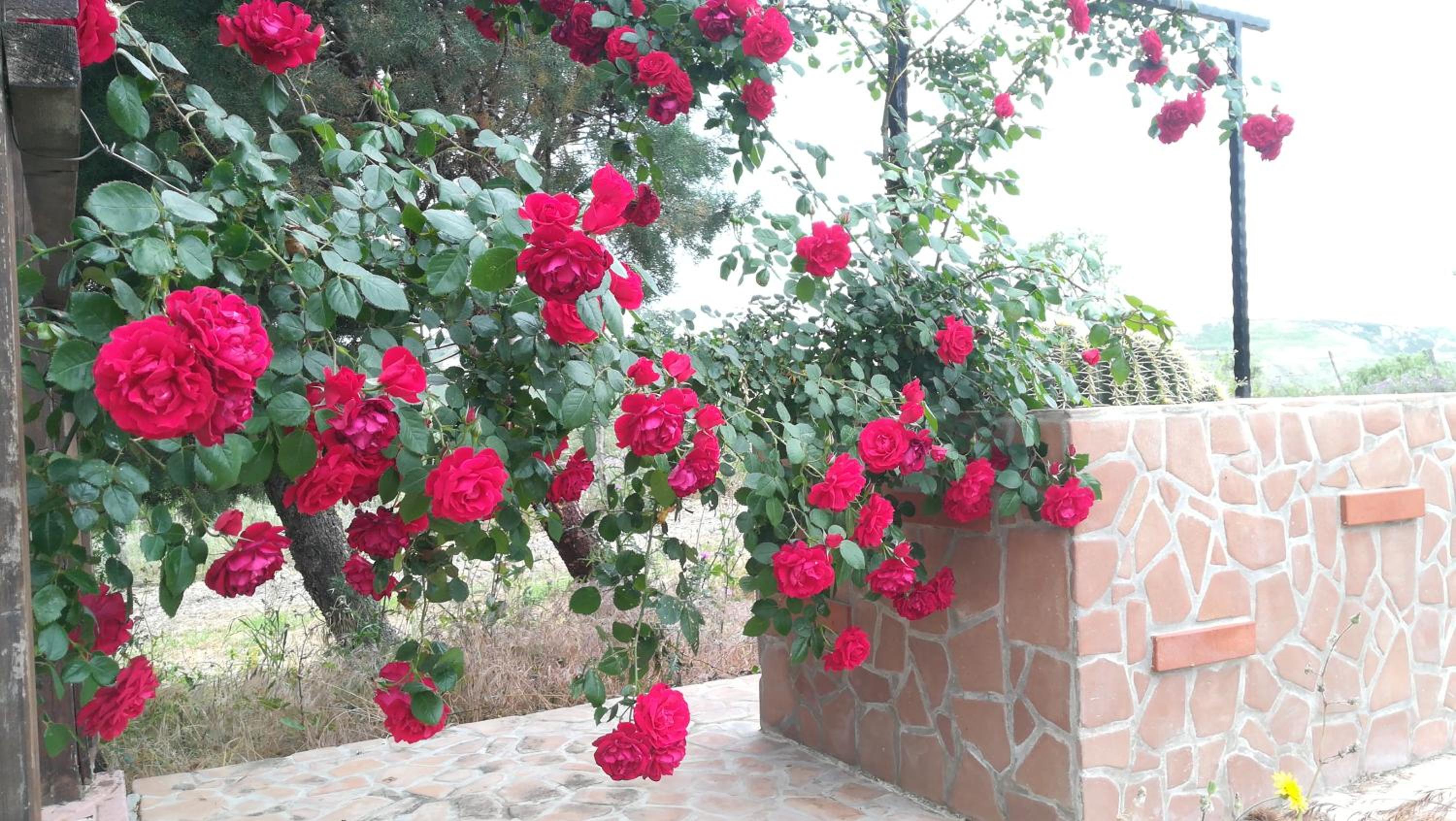 Agriturismo Colle del Sindaco
