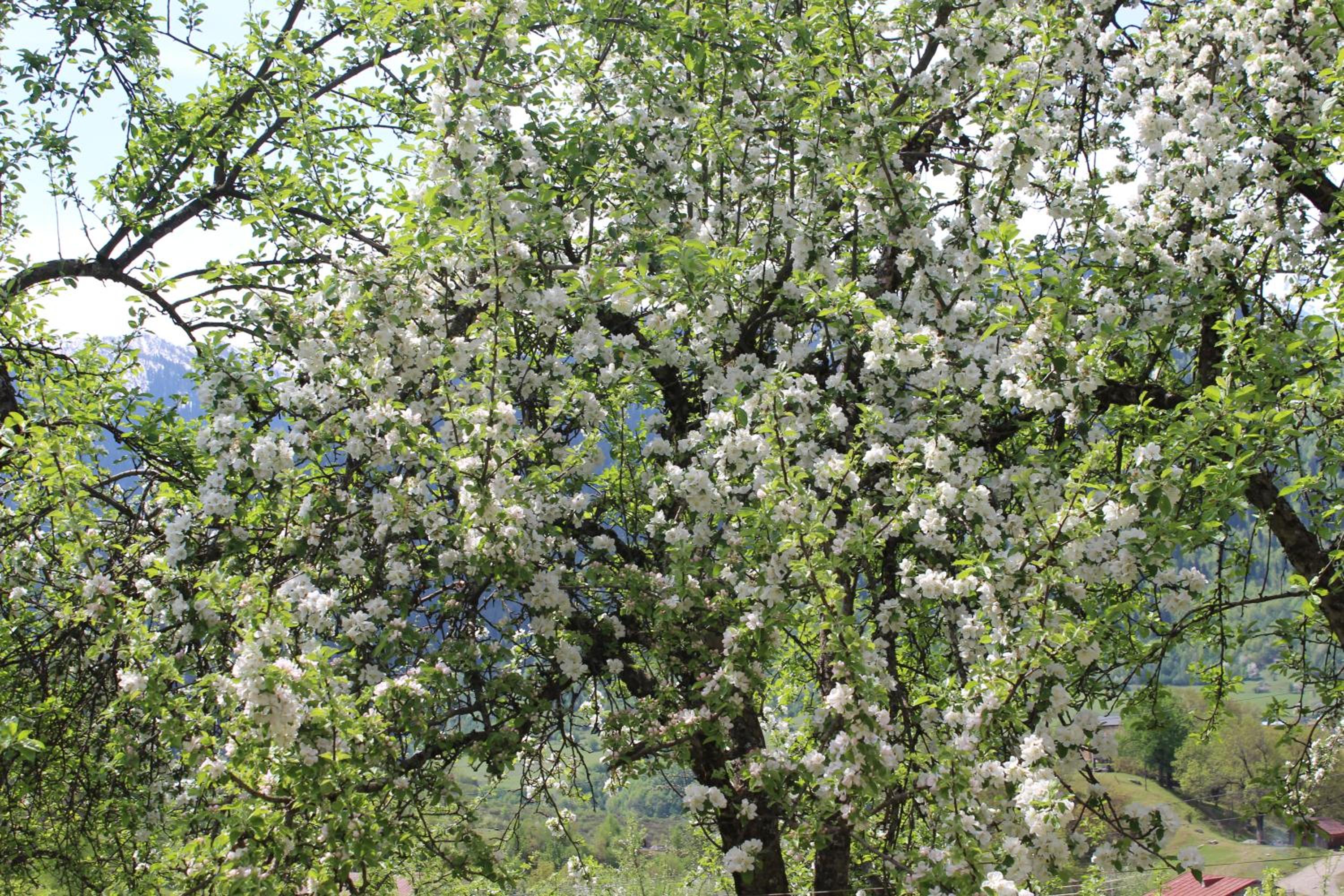 Photo 49