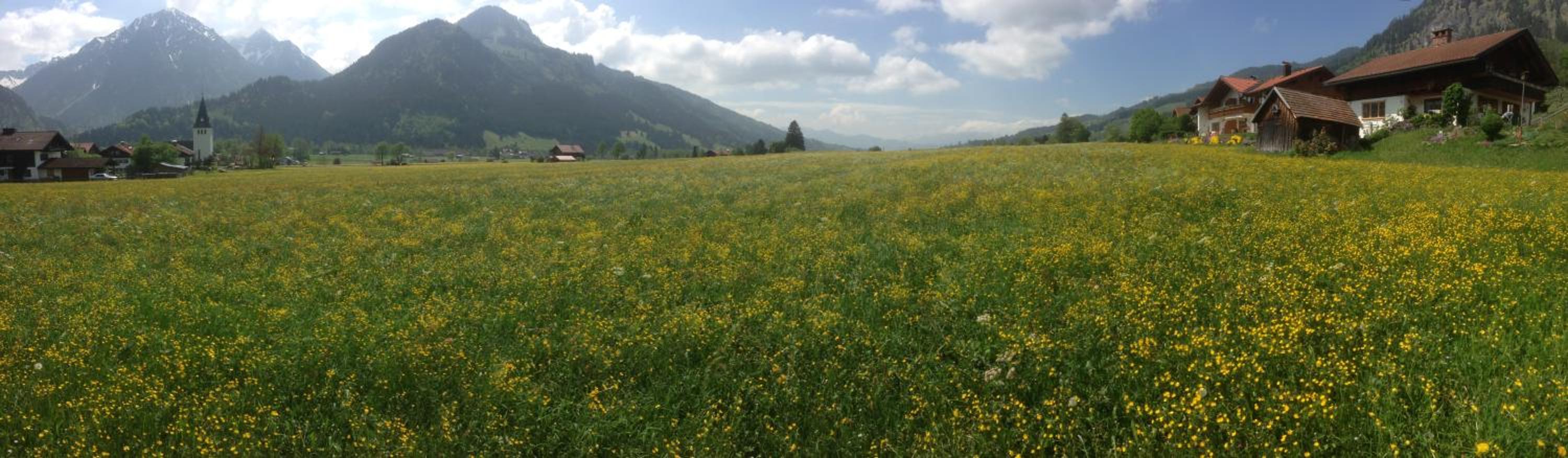 Ferienhaus in der Sonne