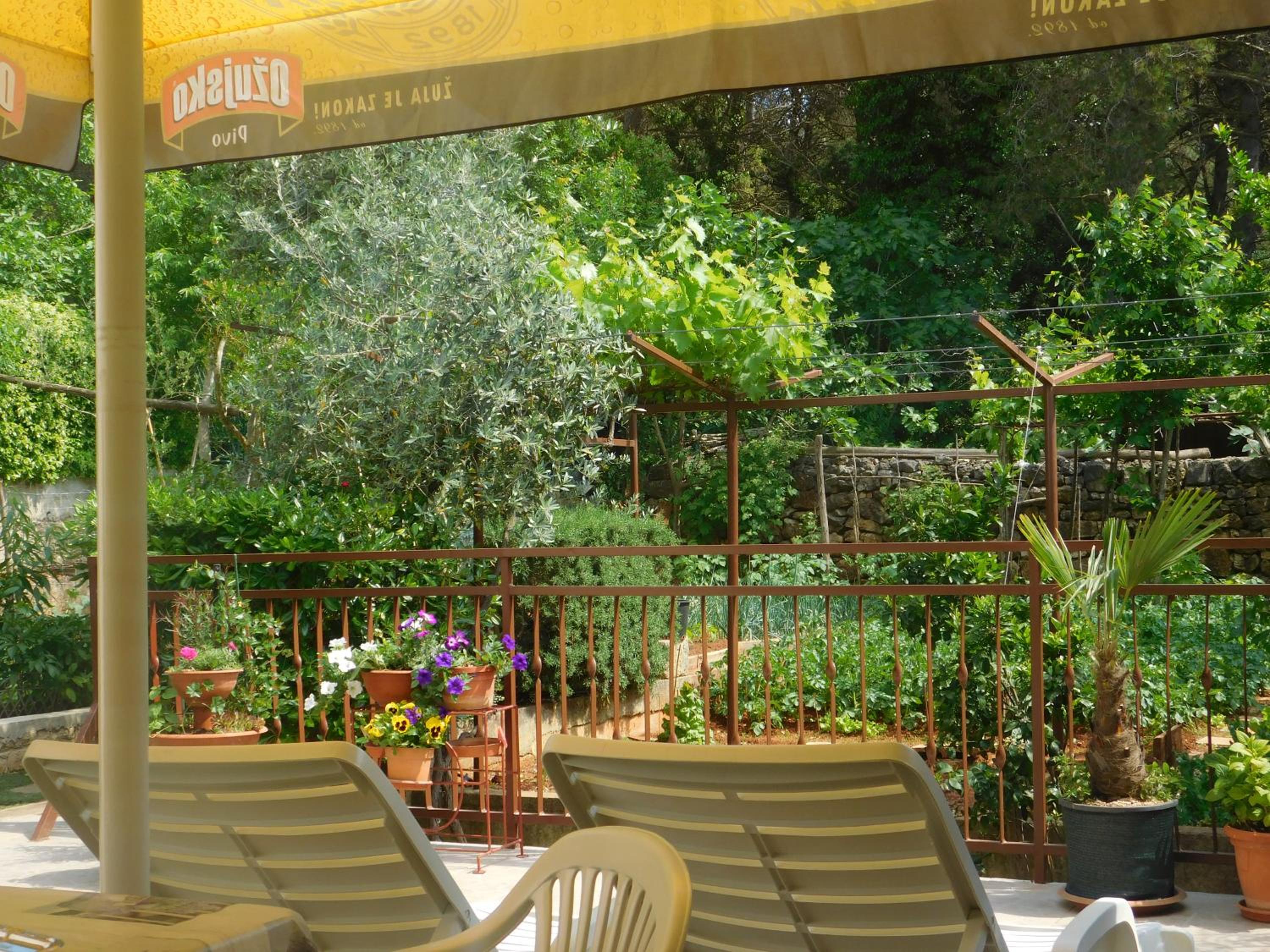 Apartment Artusi