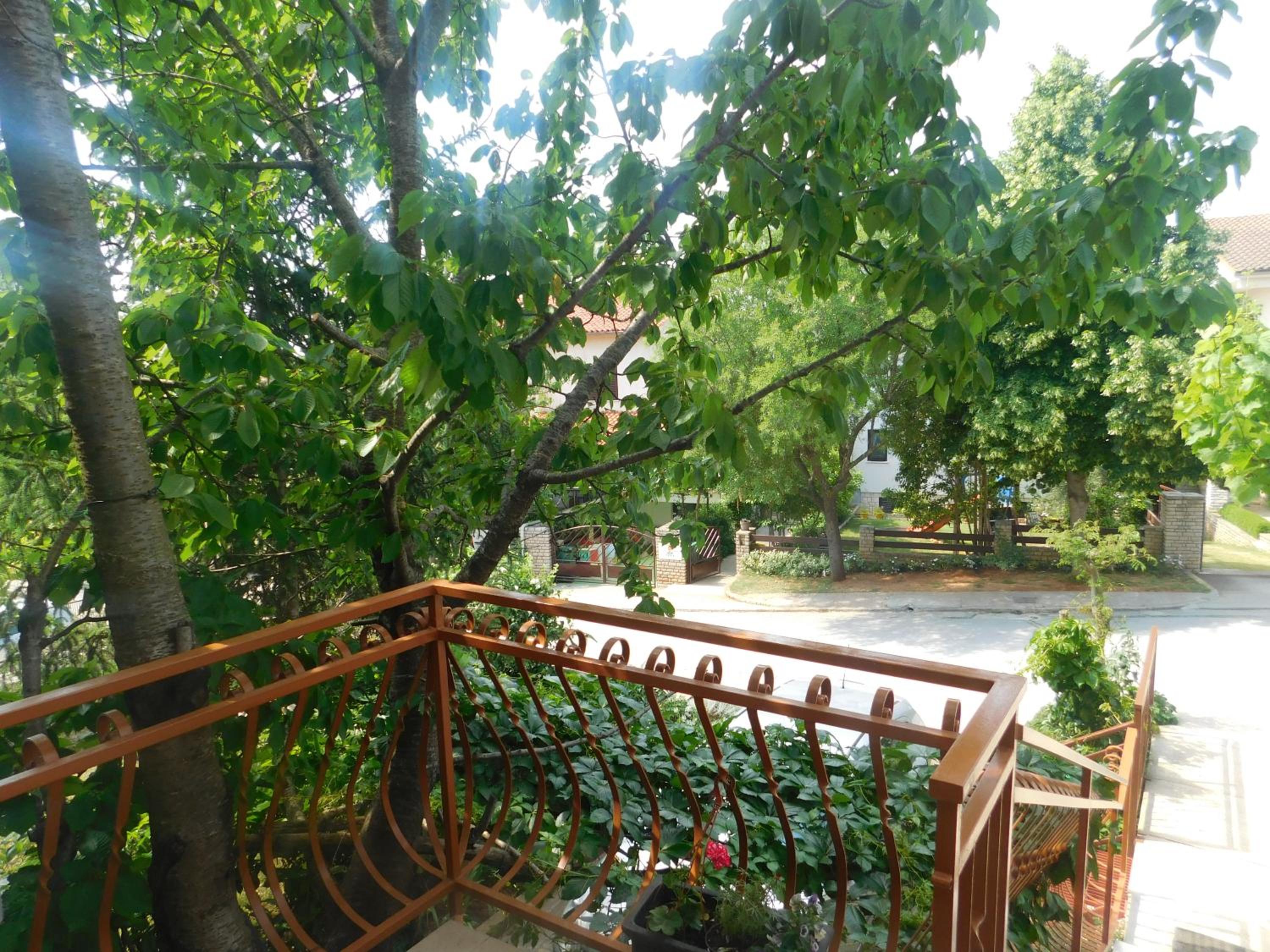 Photo 46
