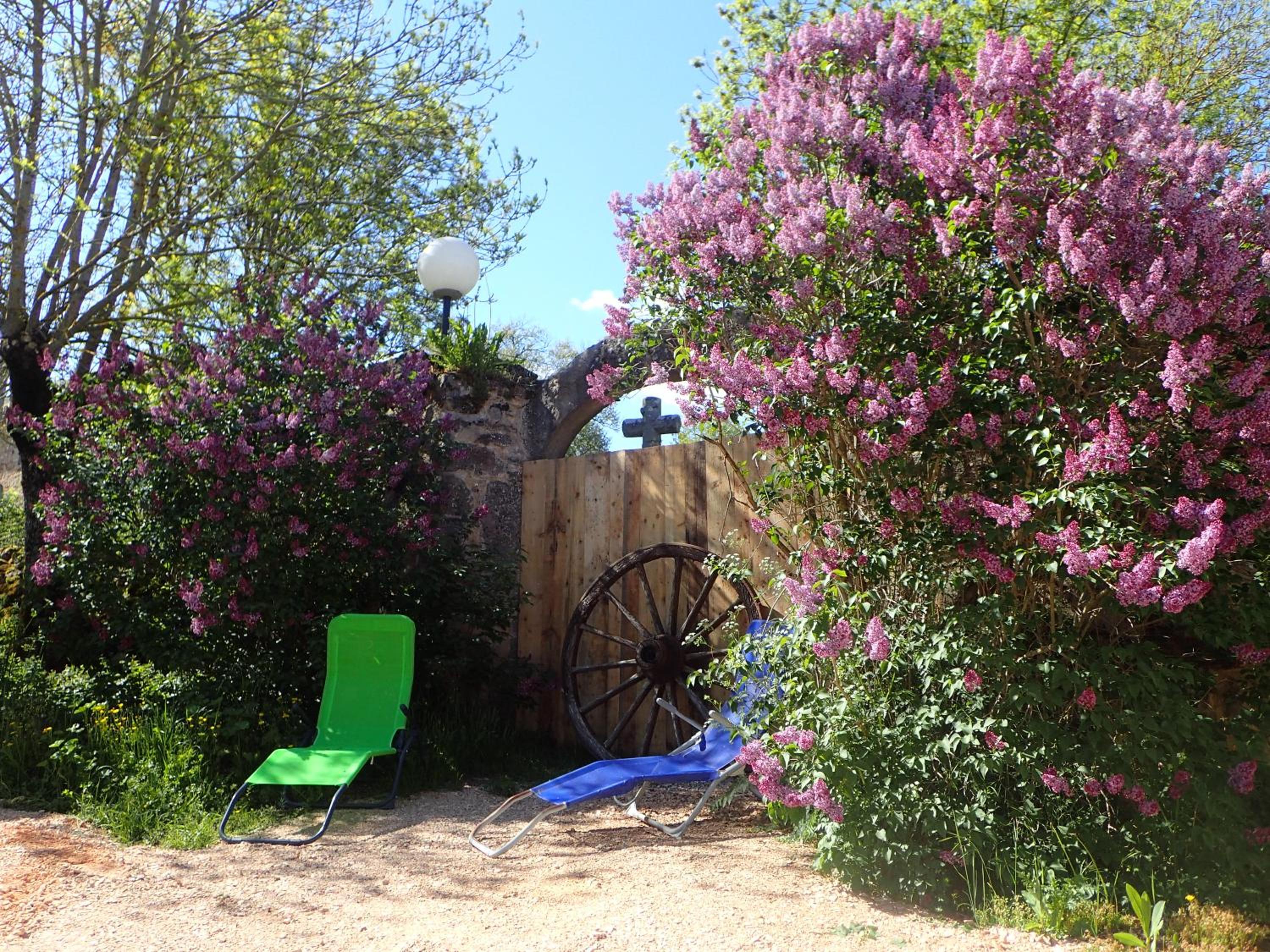 Photo 23