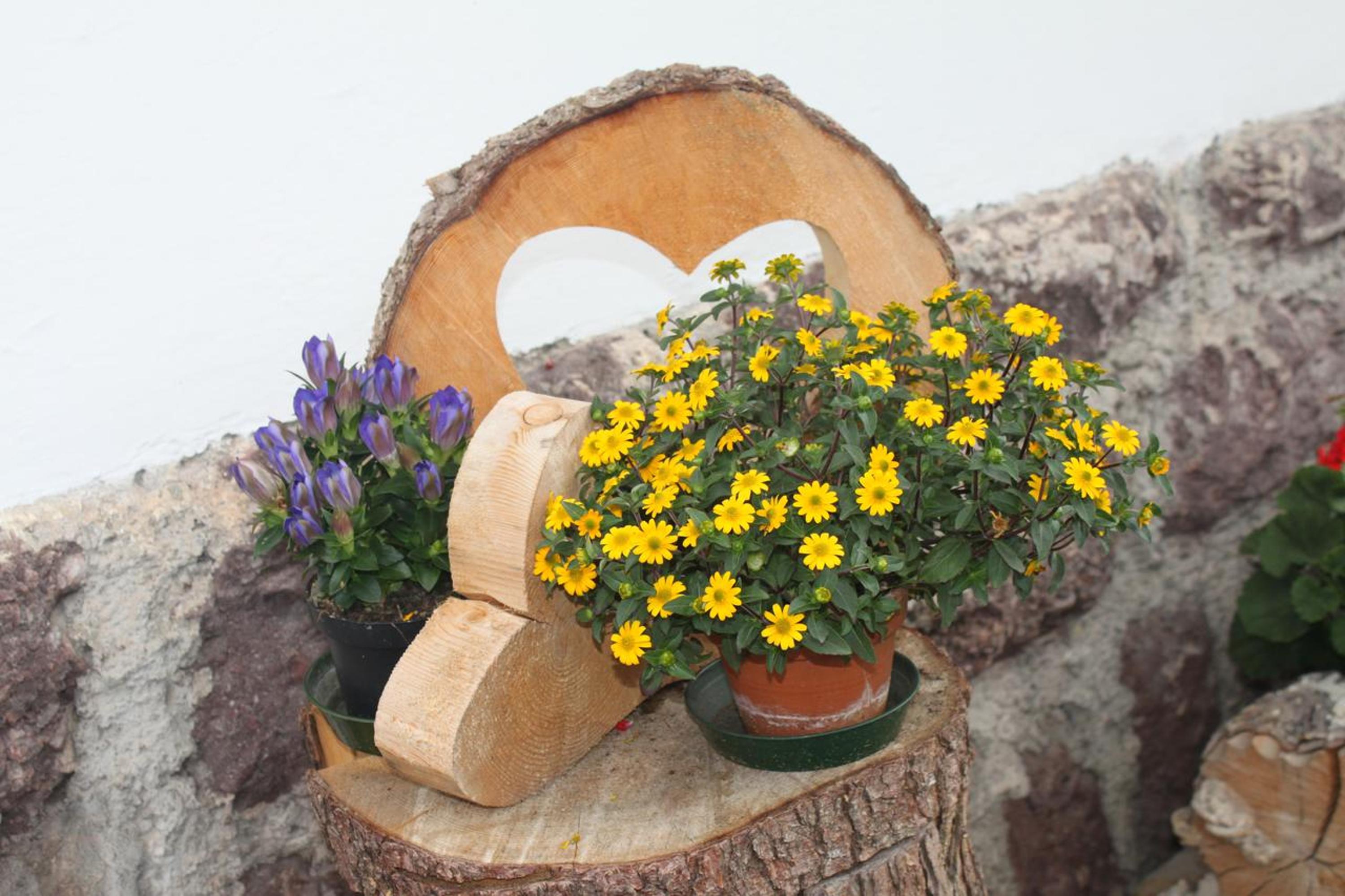 Landhaus Summerer view 5