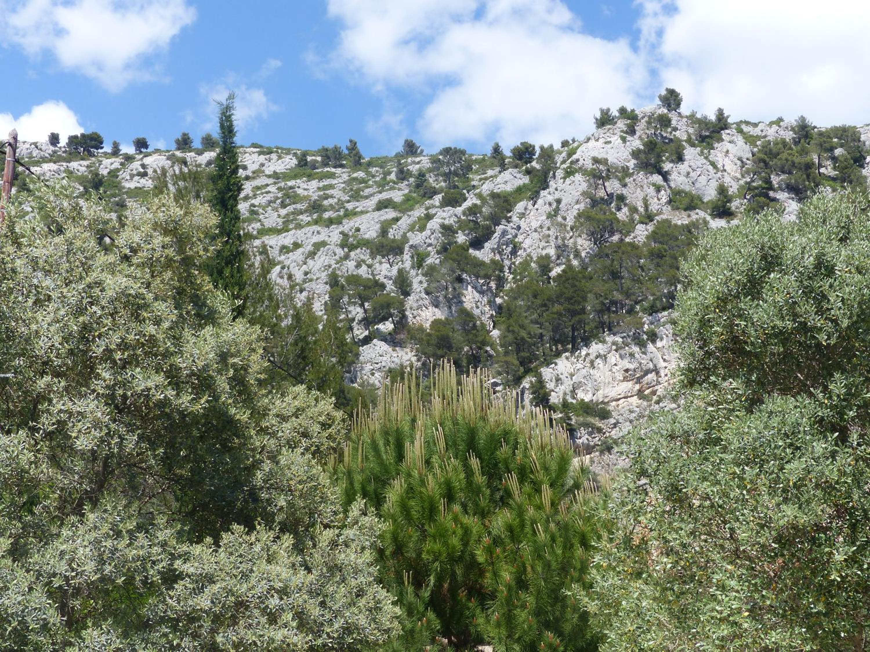 Photo 25