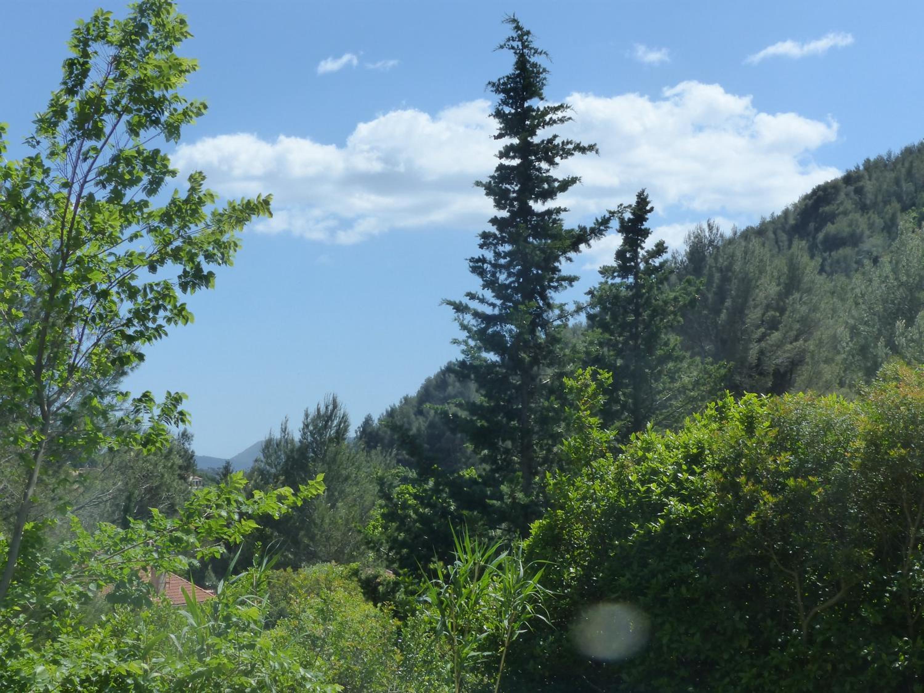 Photo 24