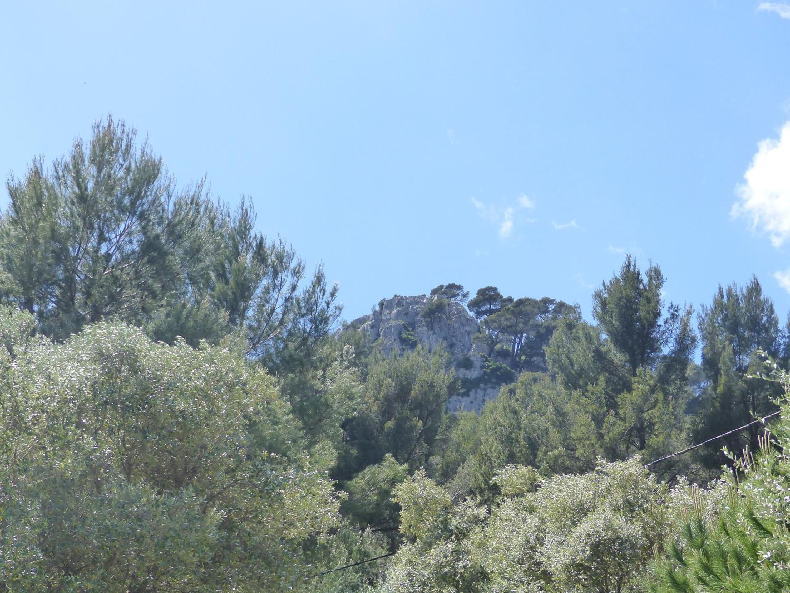 Photo 23