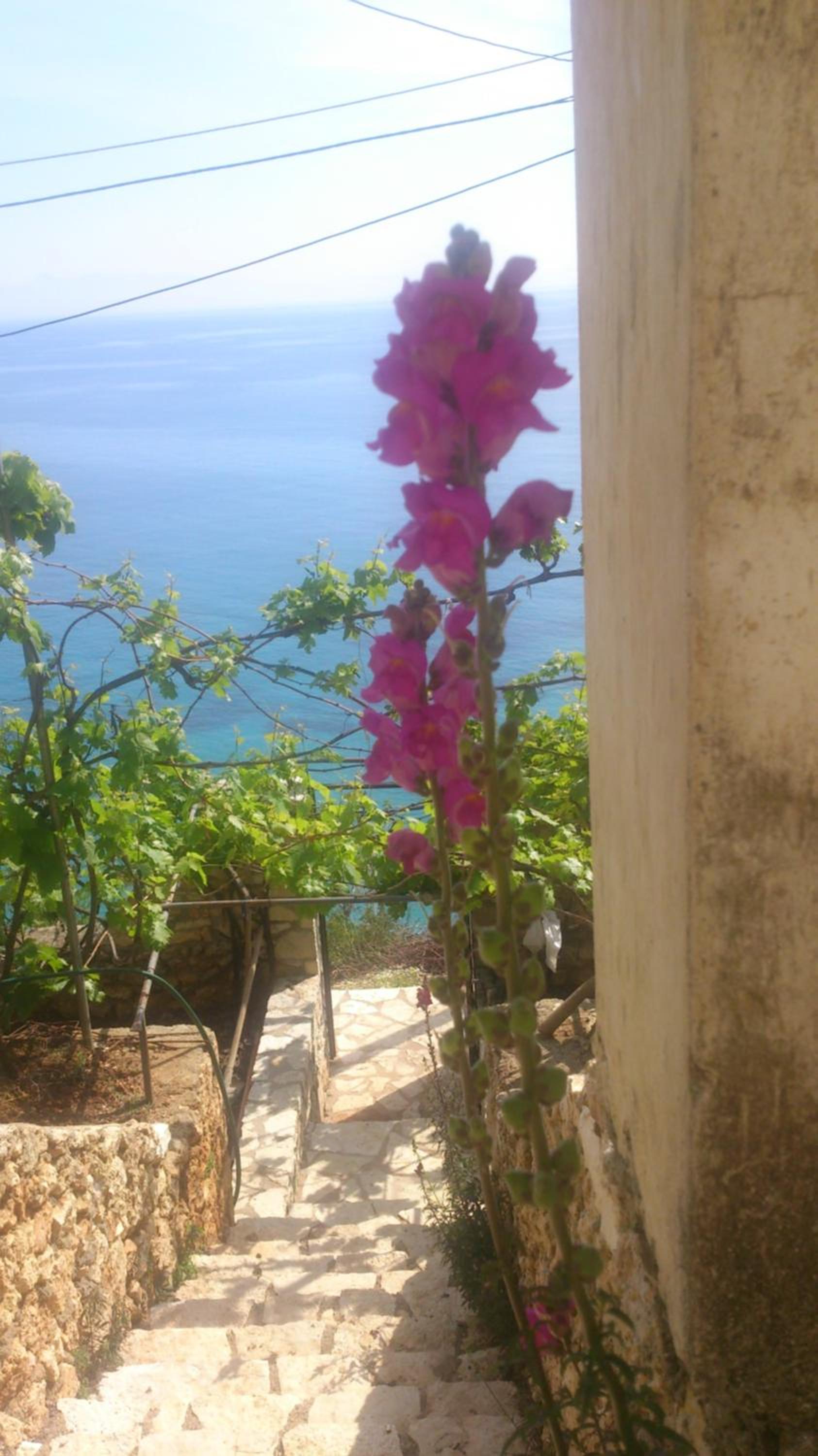 Blue View
