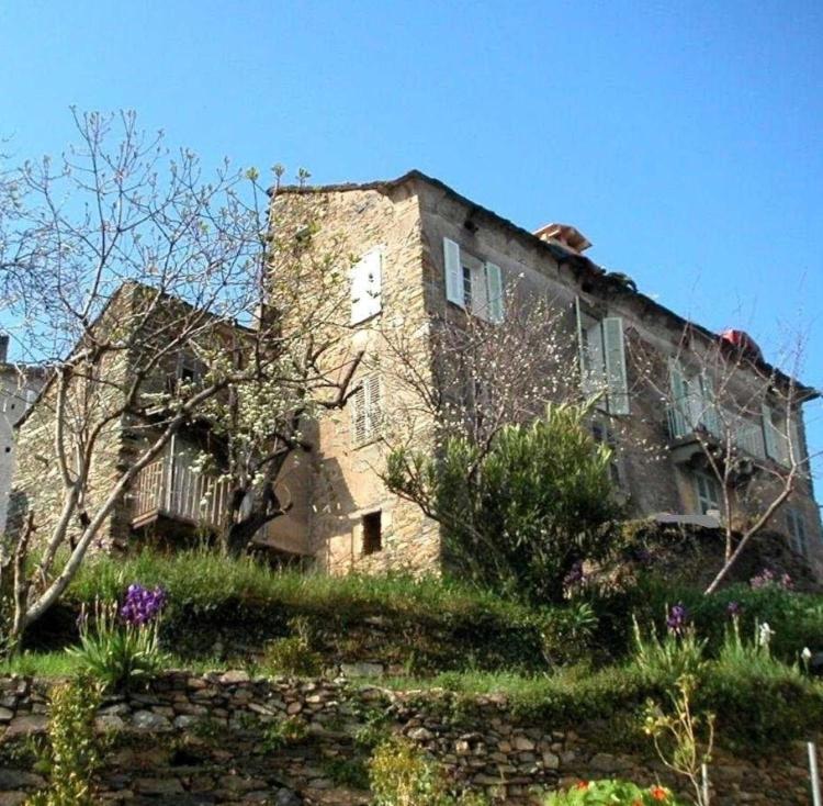 Chambres A Casa De Giovanni à Pietra-di-Verde en Haute-Corse view 5