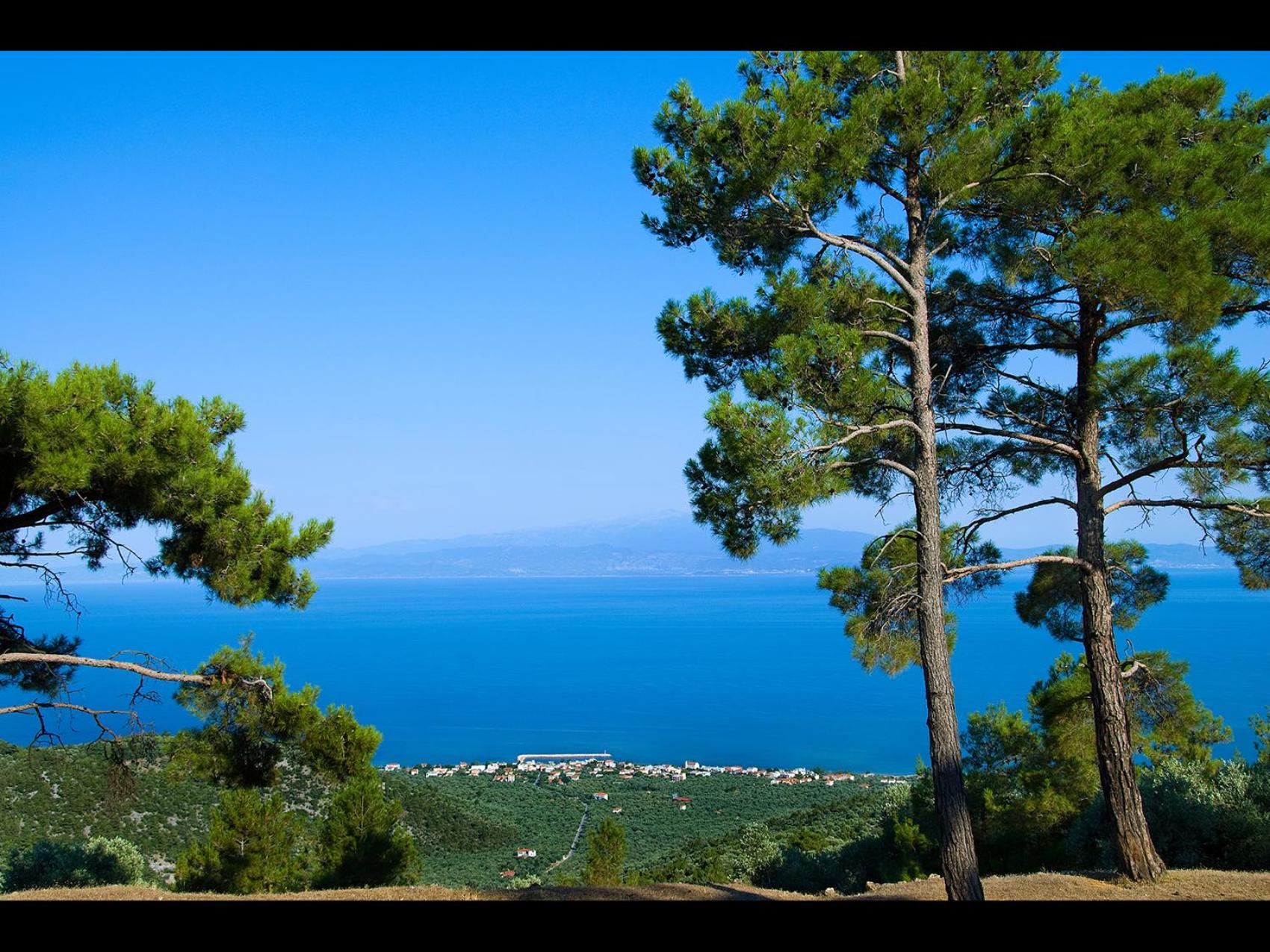Pan Mare photo 4