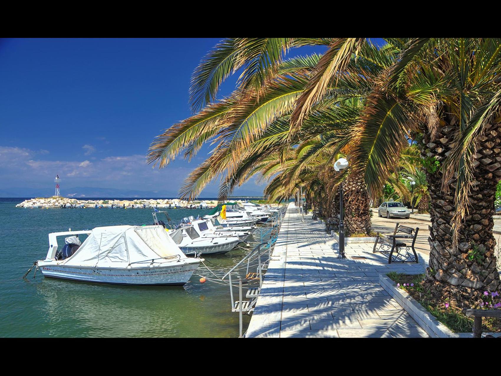 Pan Mare photo 5