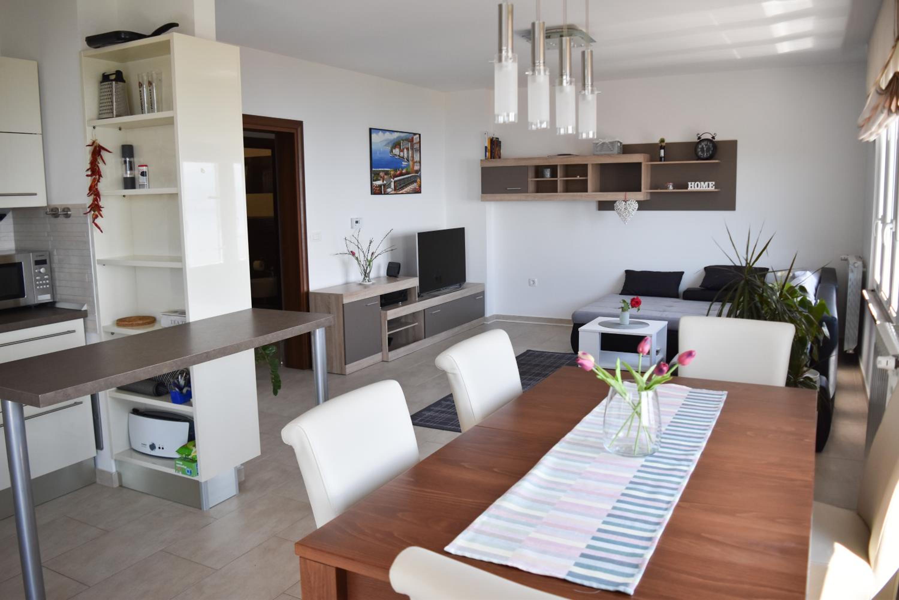 Apartment Antunovic view 4