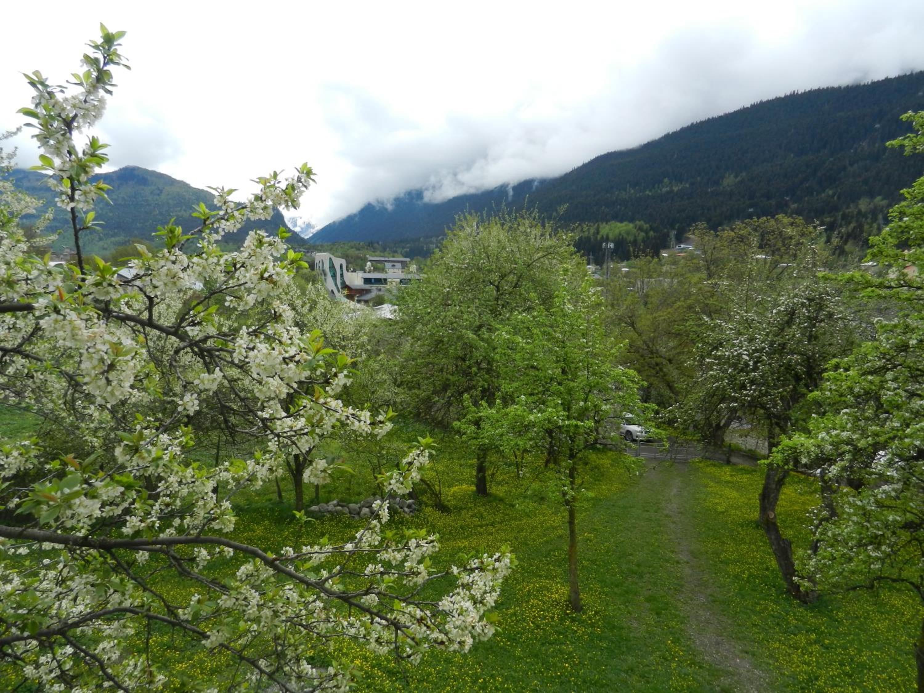 Photo 24