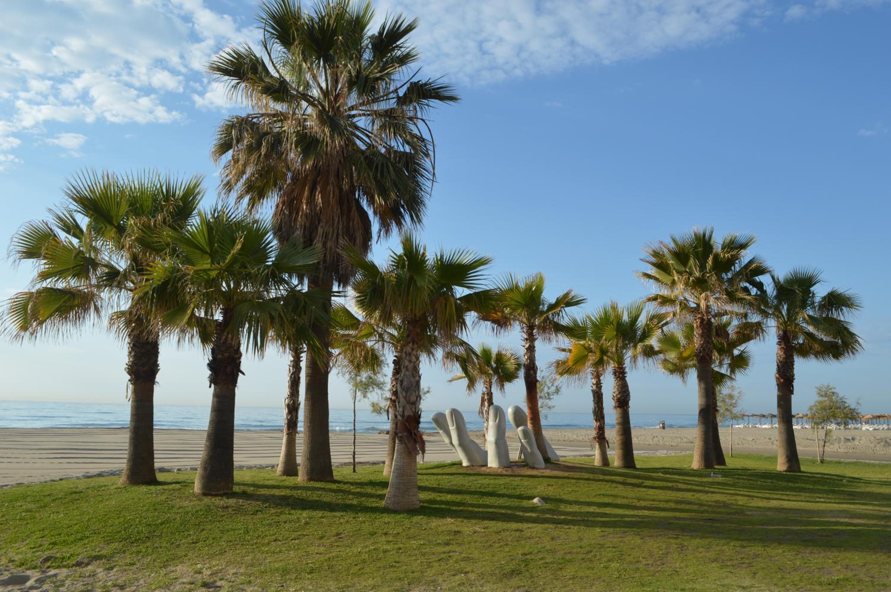 Hnos Navarrete photo 2