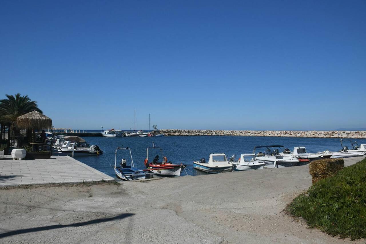 Pan Mare photo 3