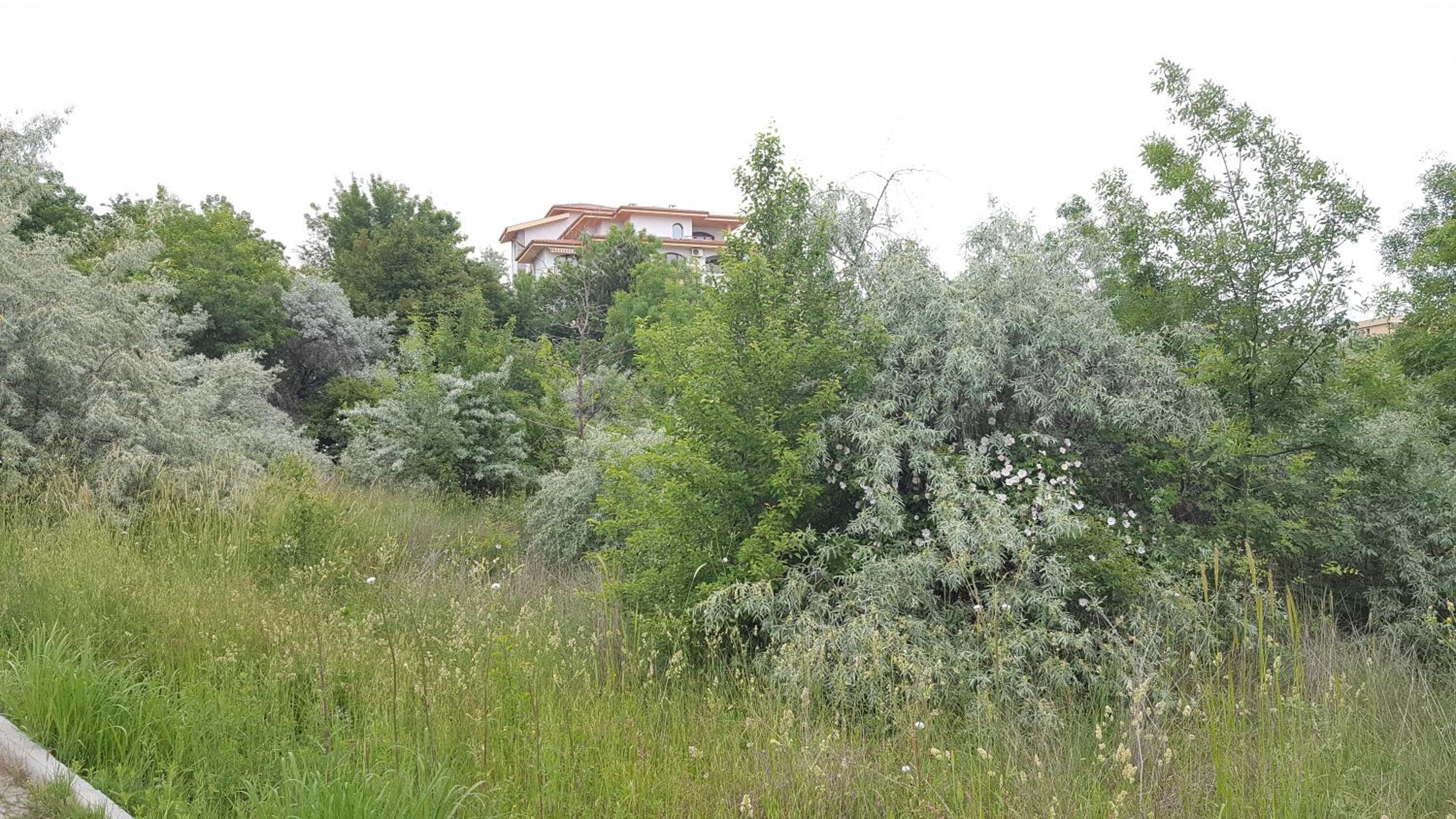 Photo 27