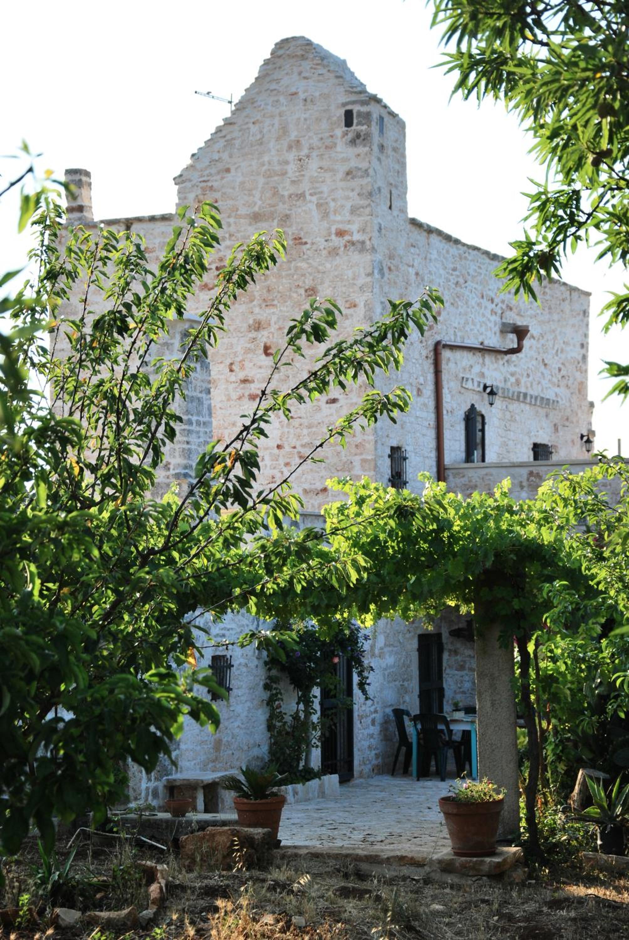 Photo 45