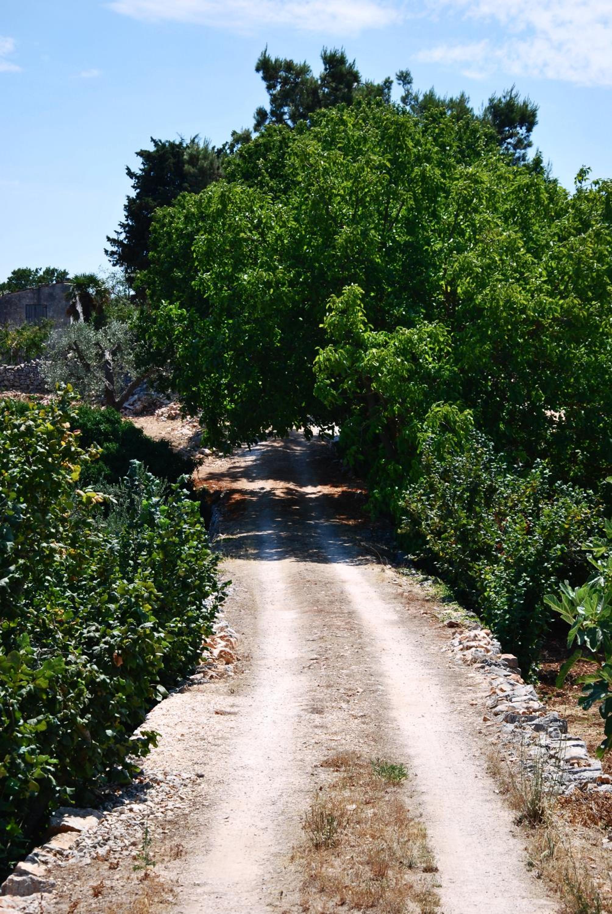 Photo 47
