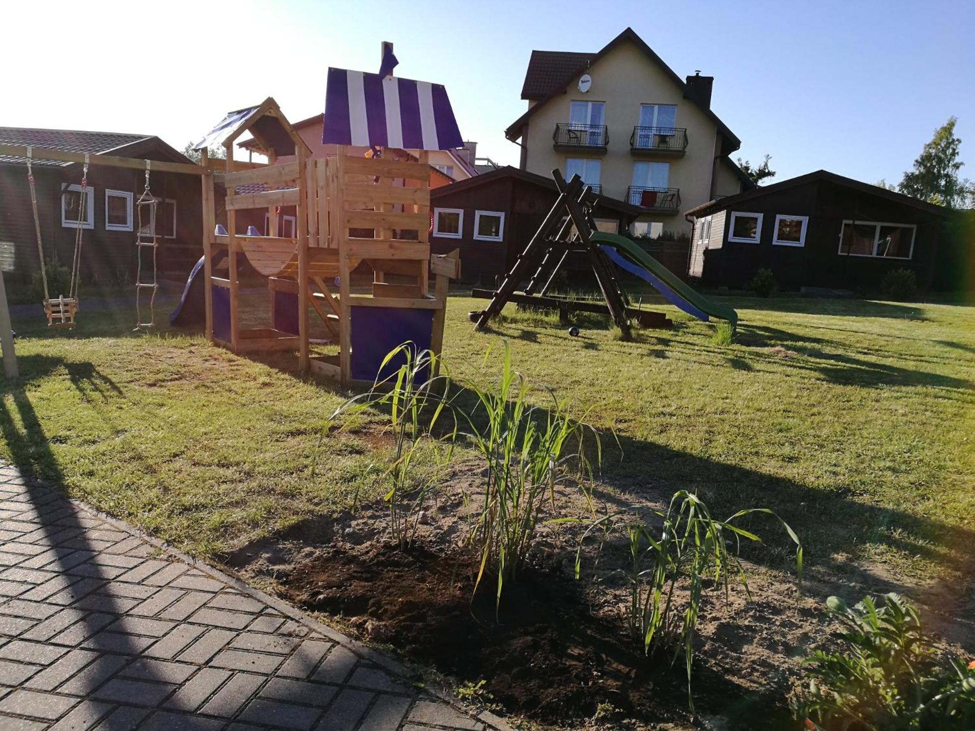 Photo 6
