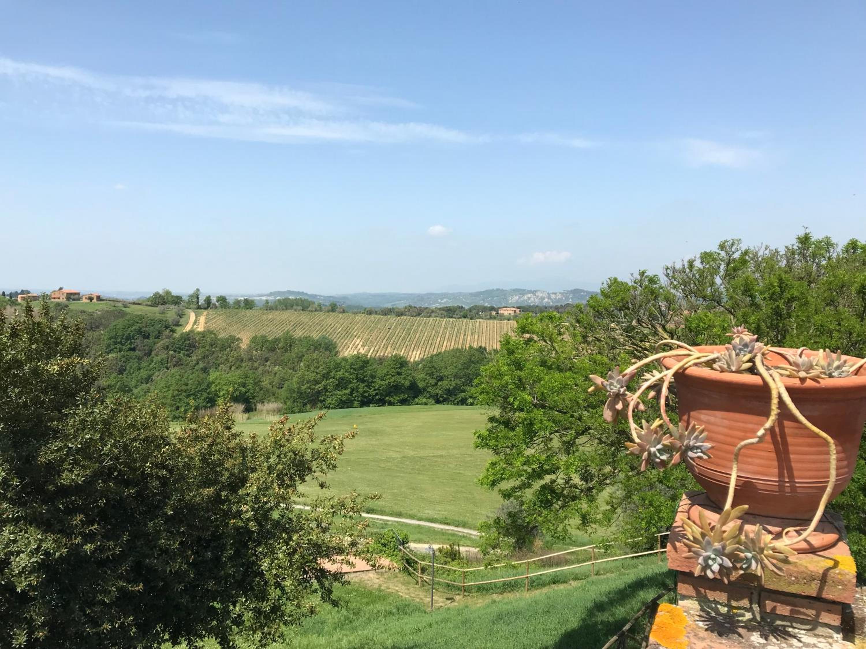 La Casina Sonia view 5