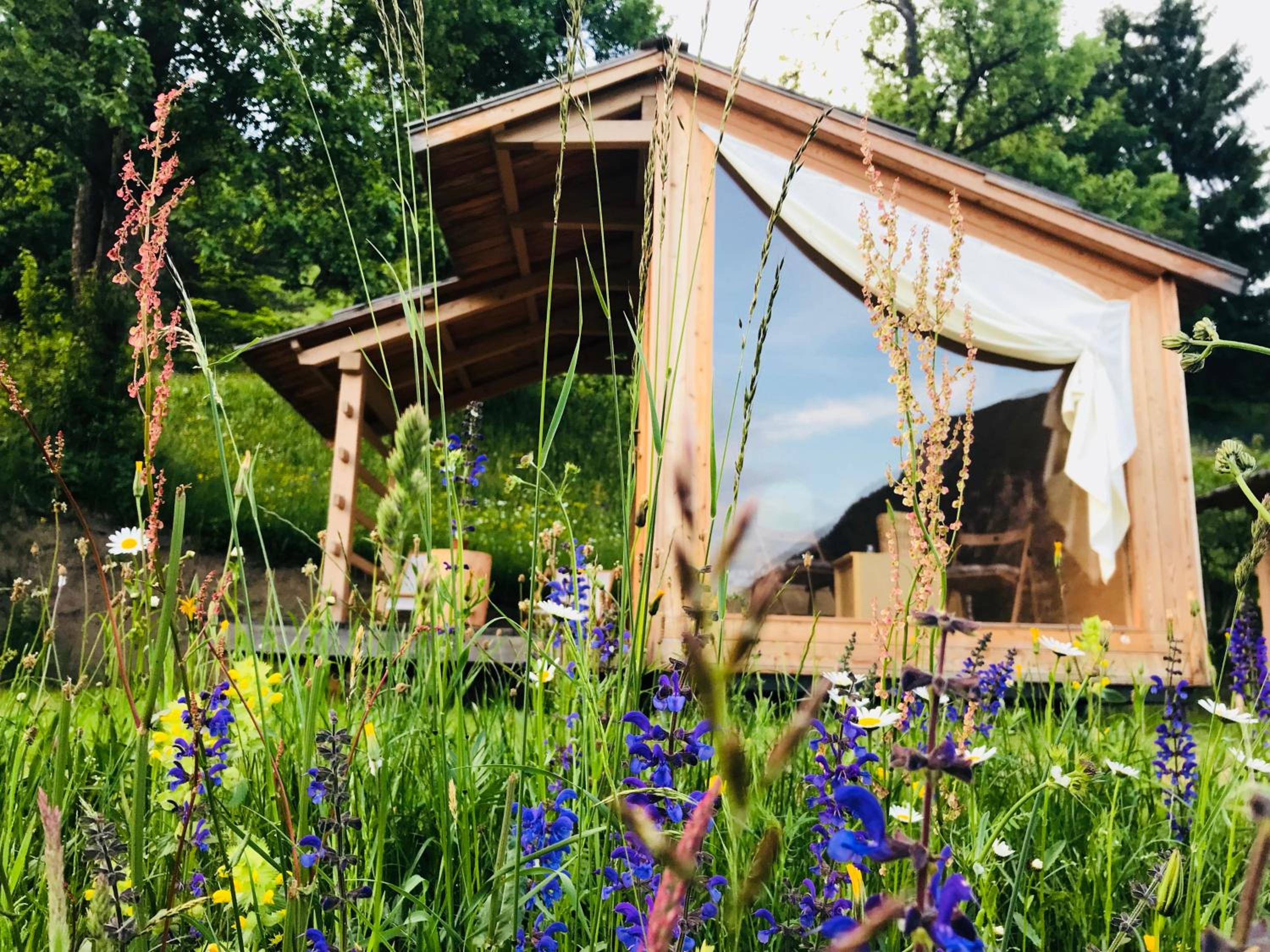Mountain view Glamping