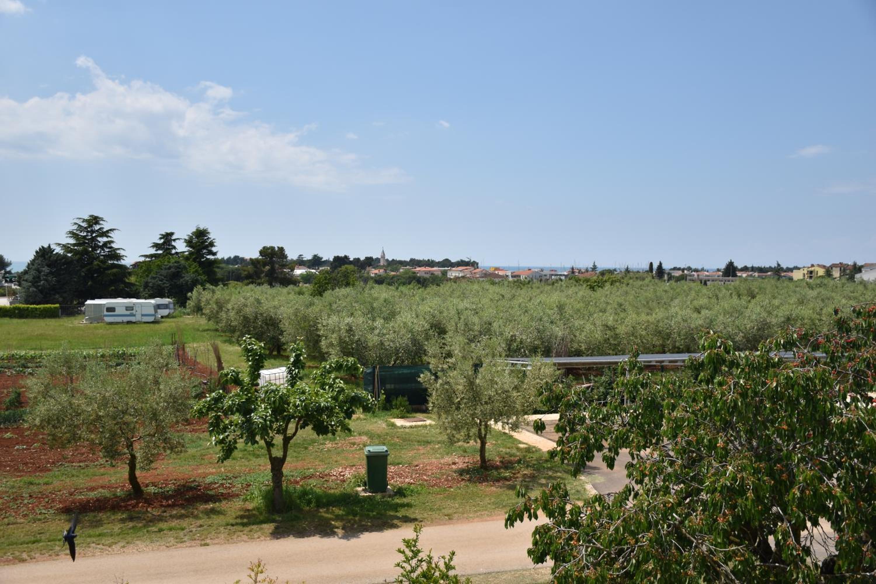 Photo 44
