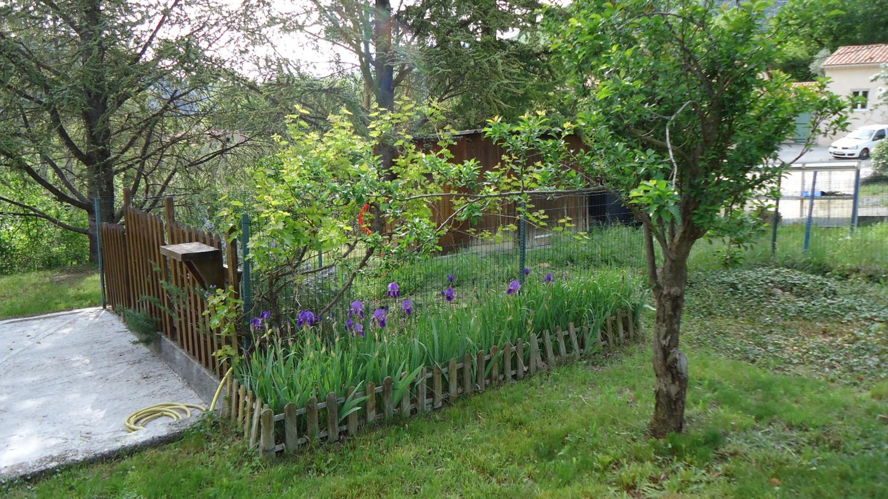 Photo 14