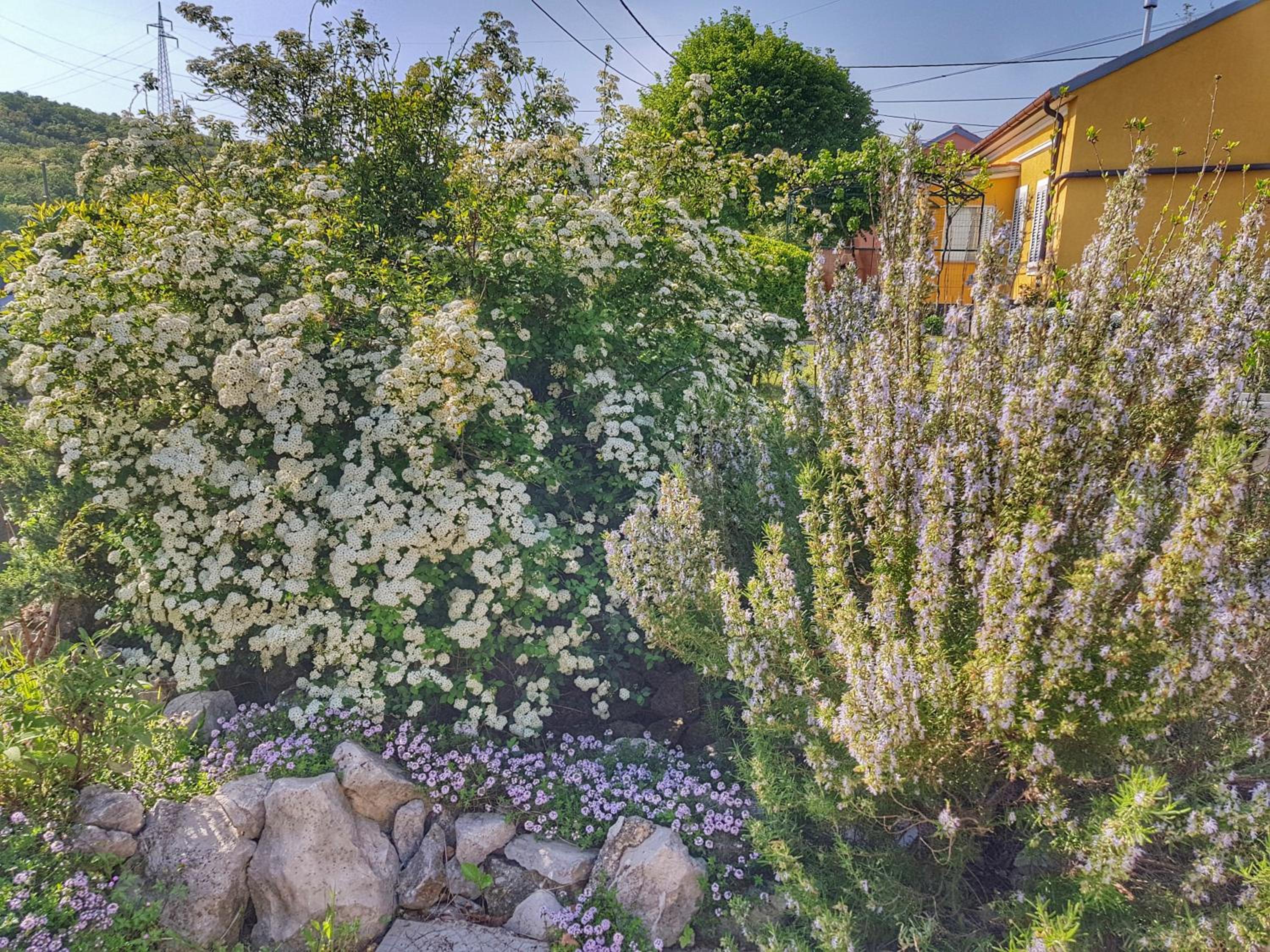 Rijeka holiday home