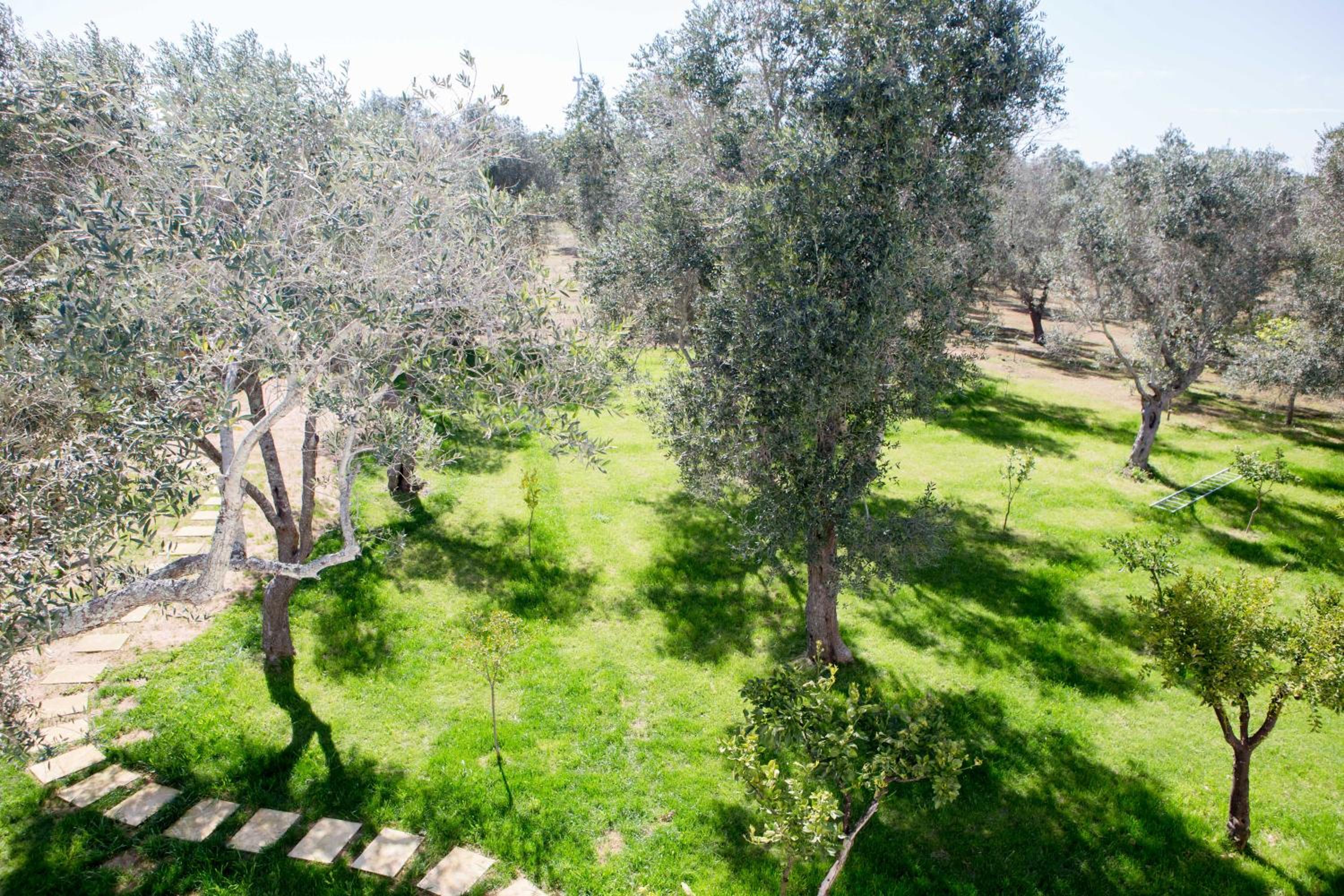 B&B Medali
