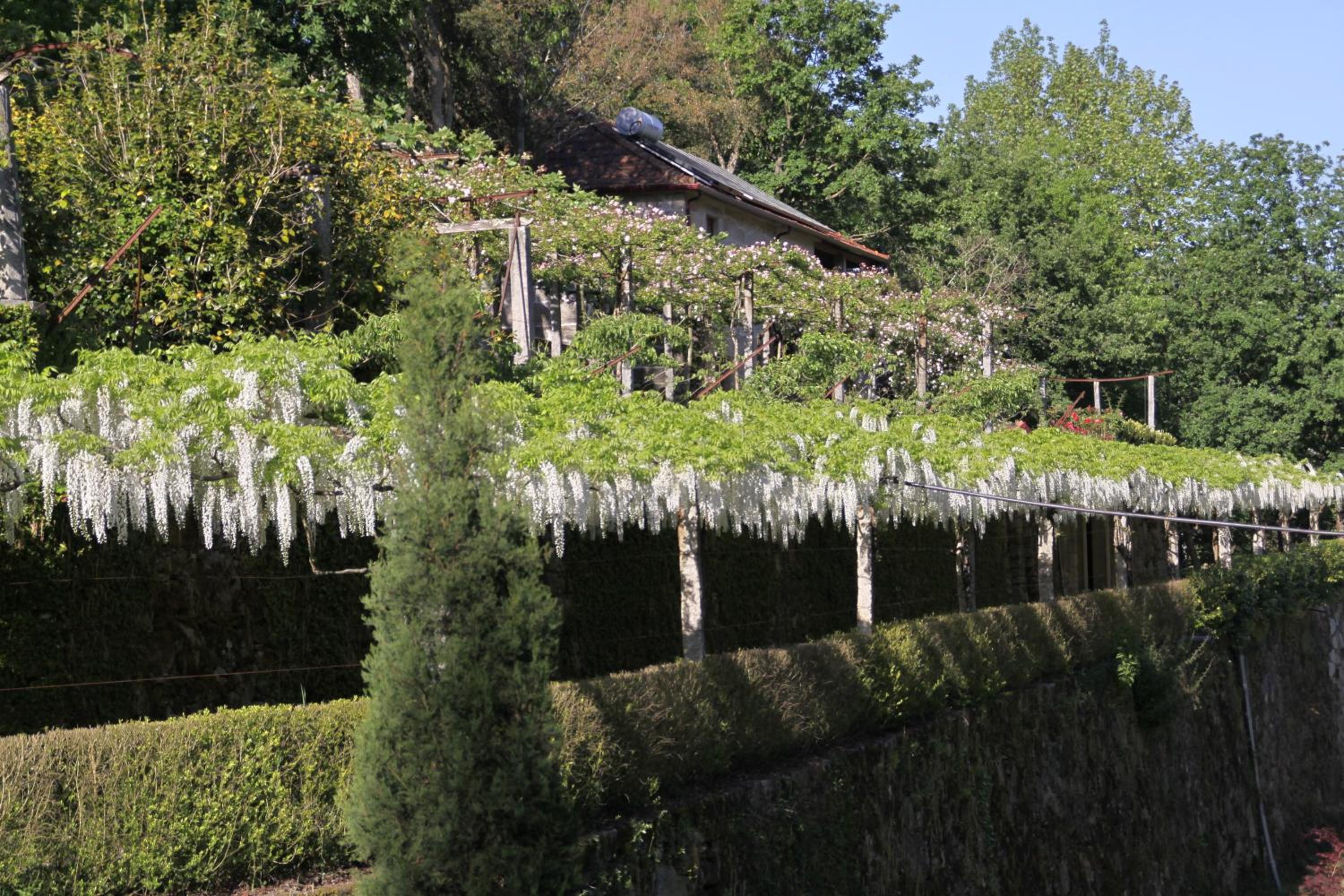 Quinta do Rossado