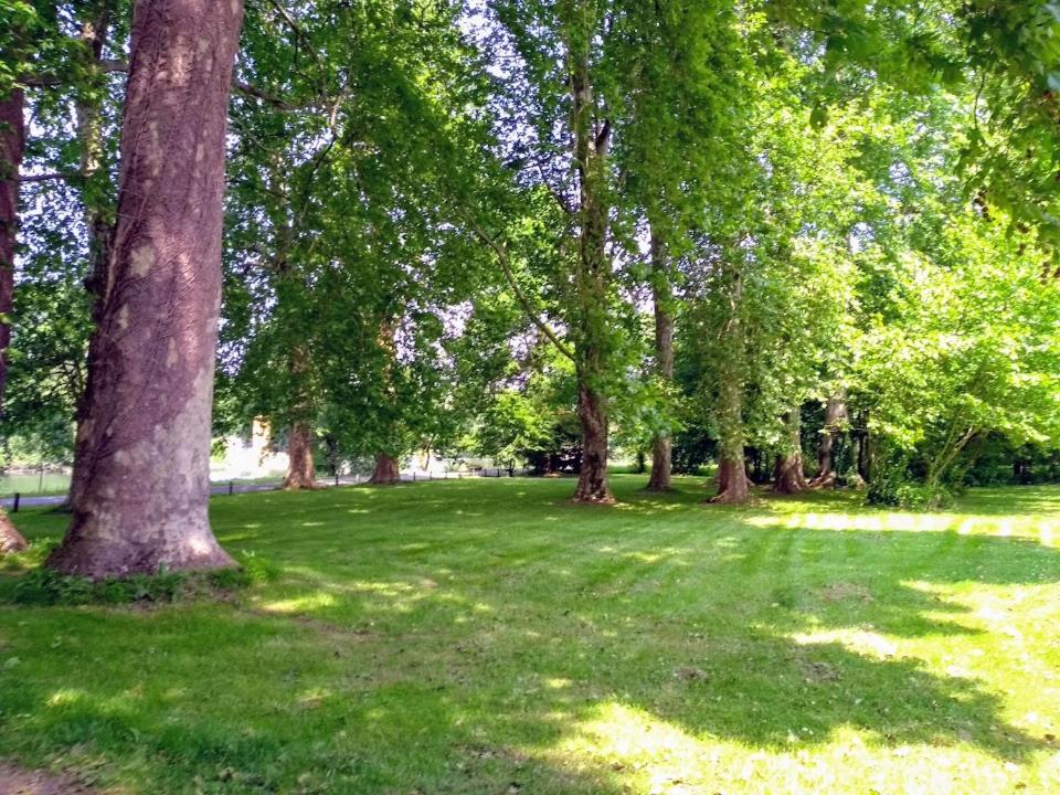 Photo 23