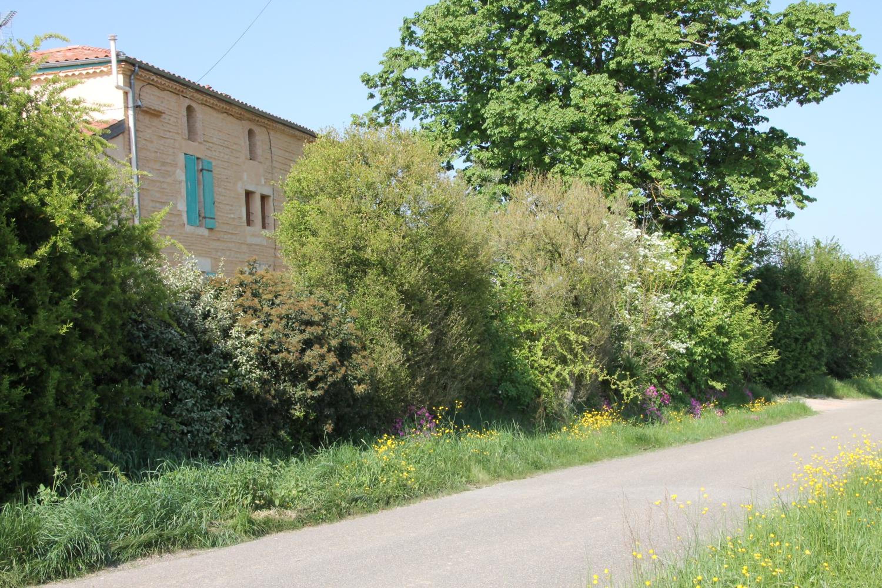 Photo 15