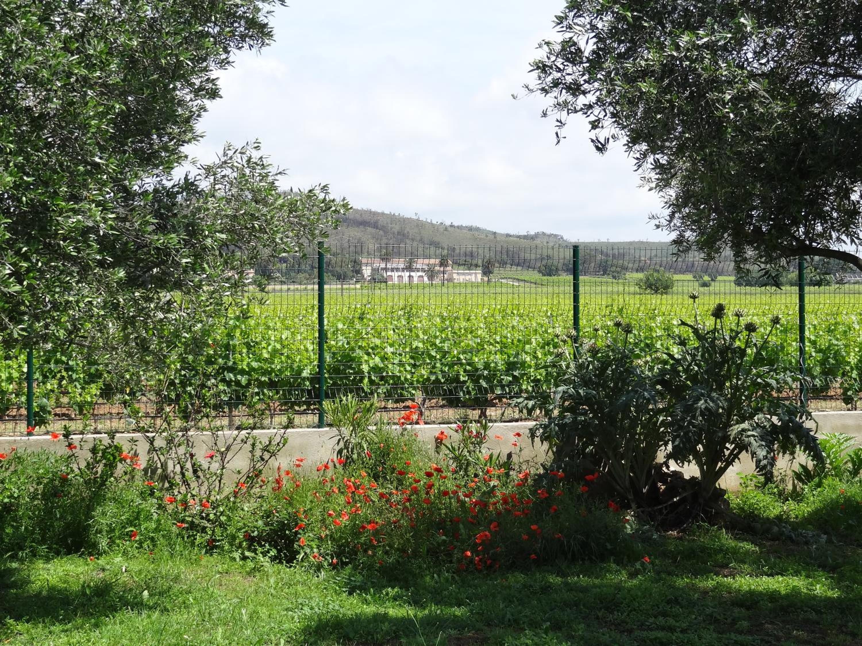 Manima view 4