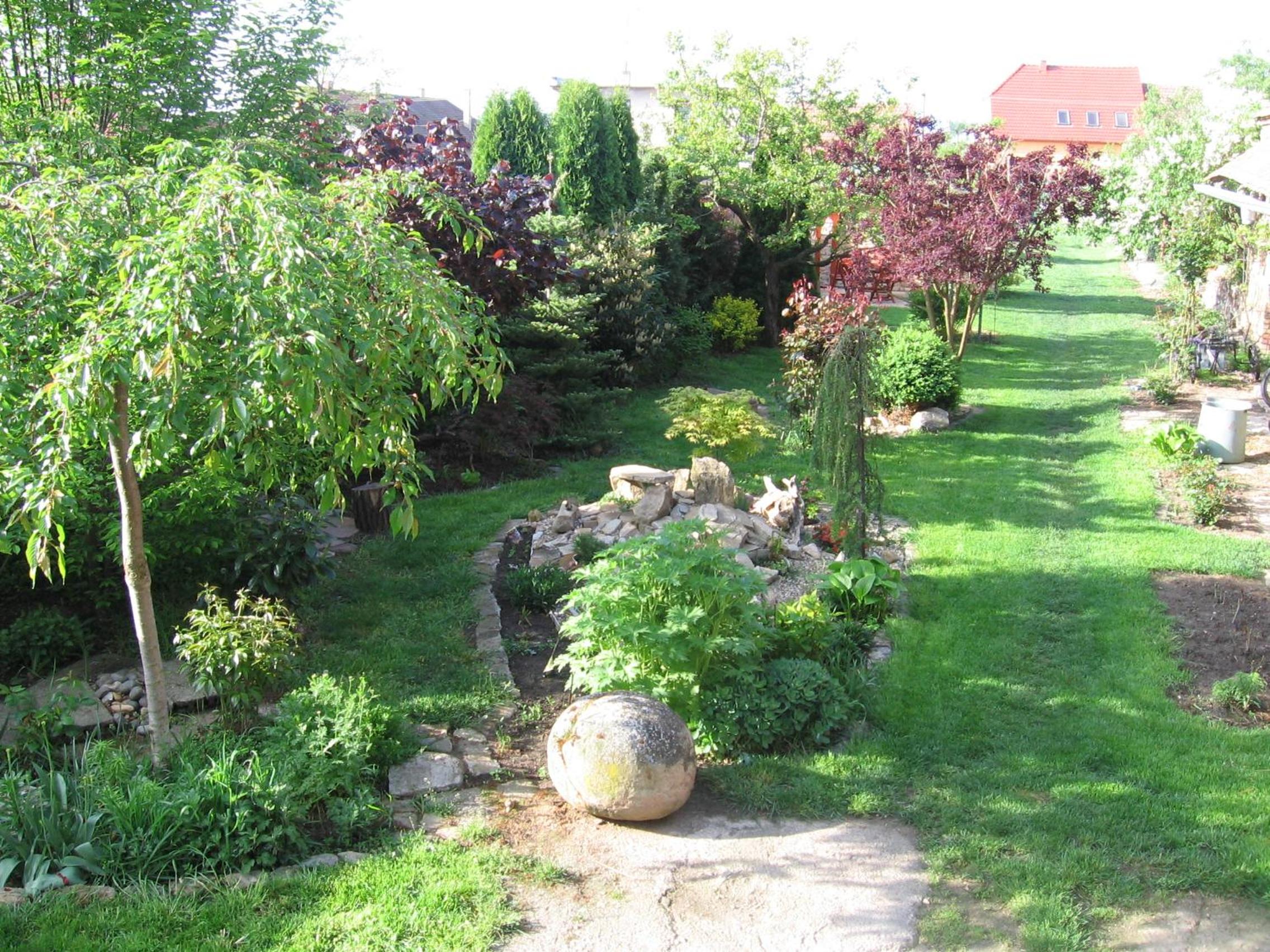 Photo 15