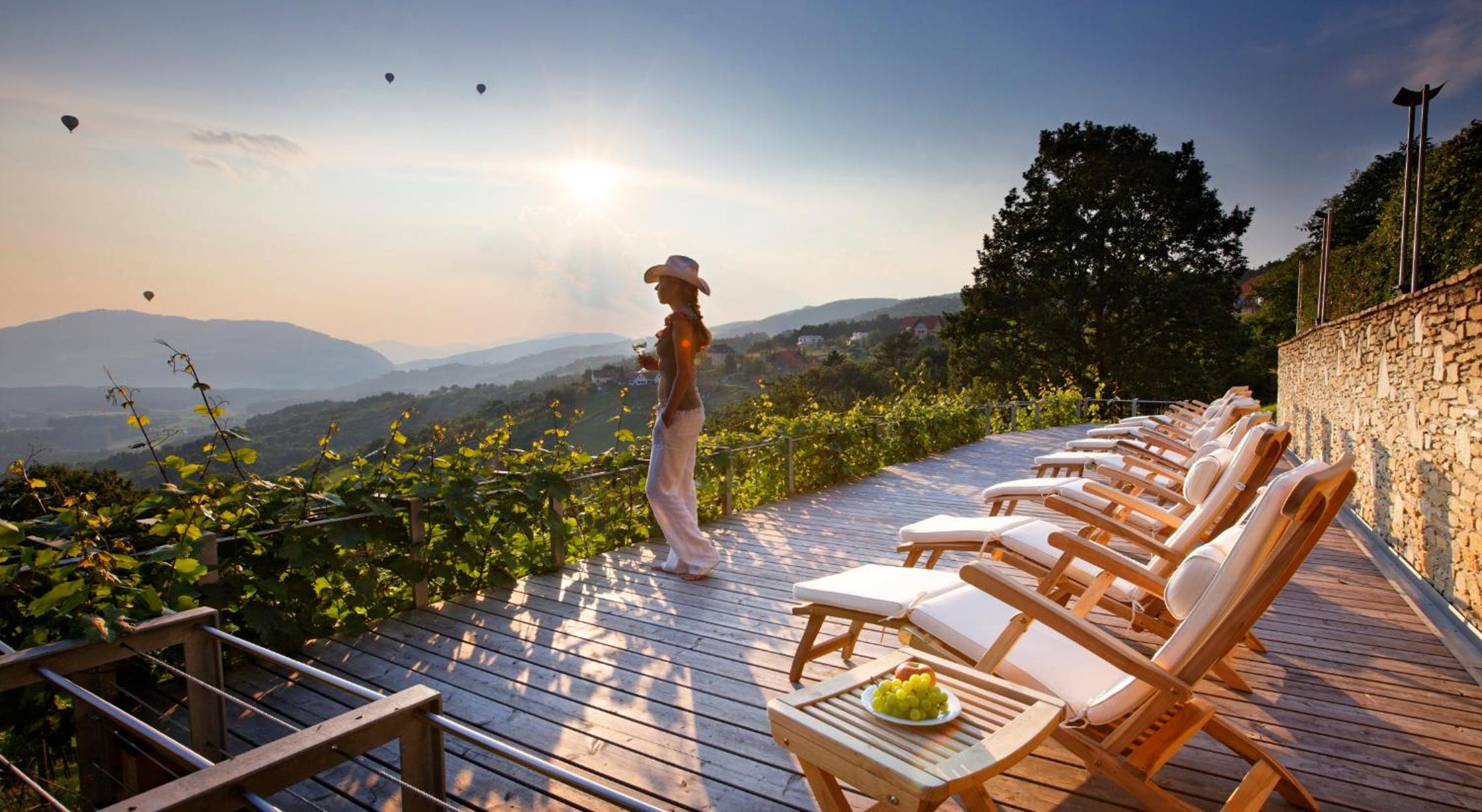 Winzerhaus Friedrich view 3