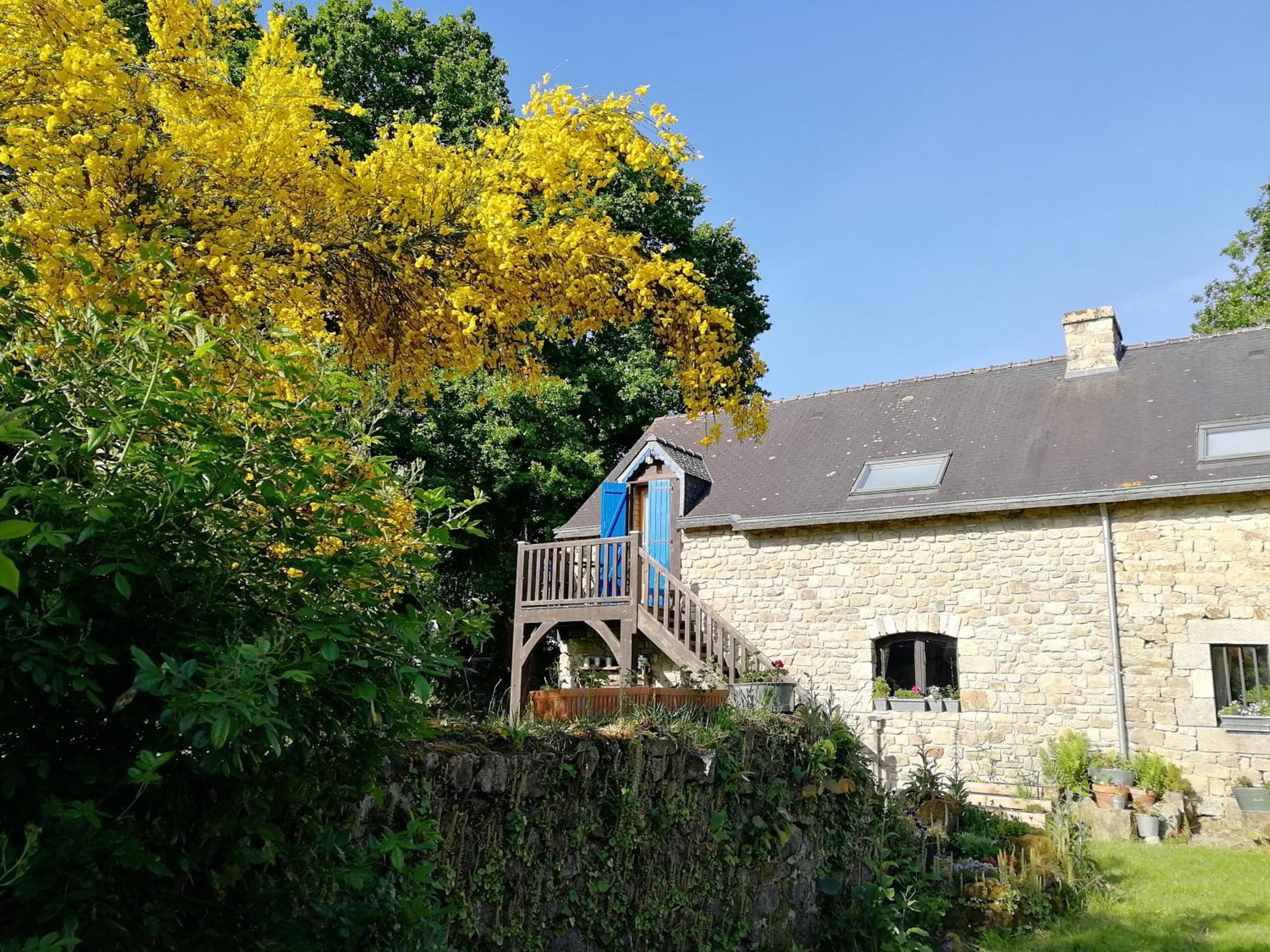 Photo 19