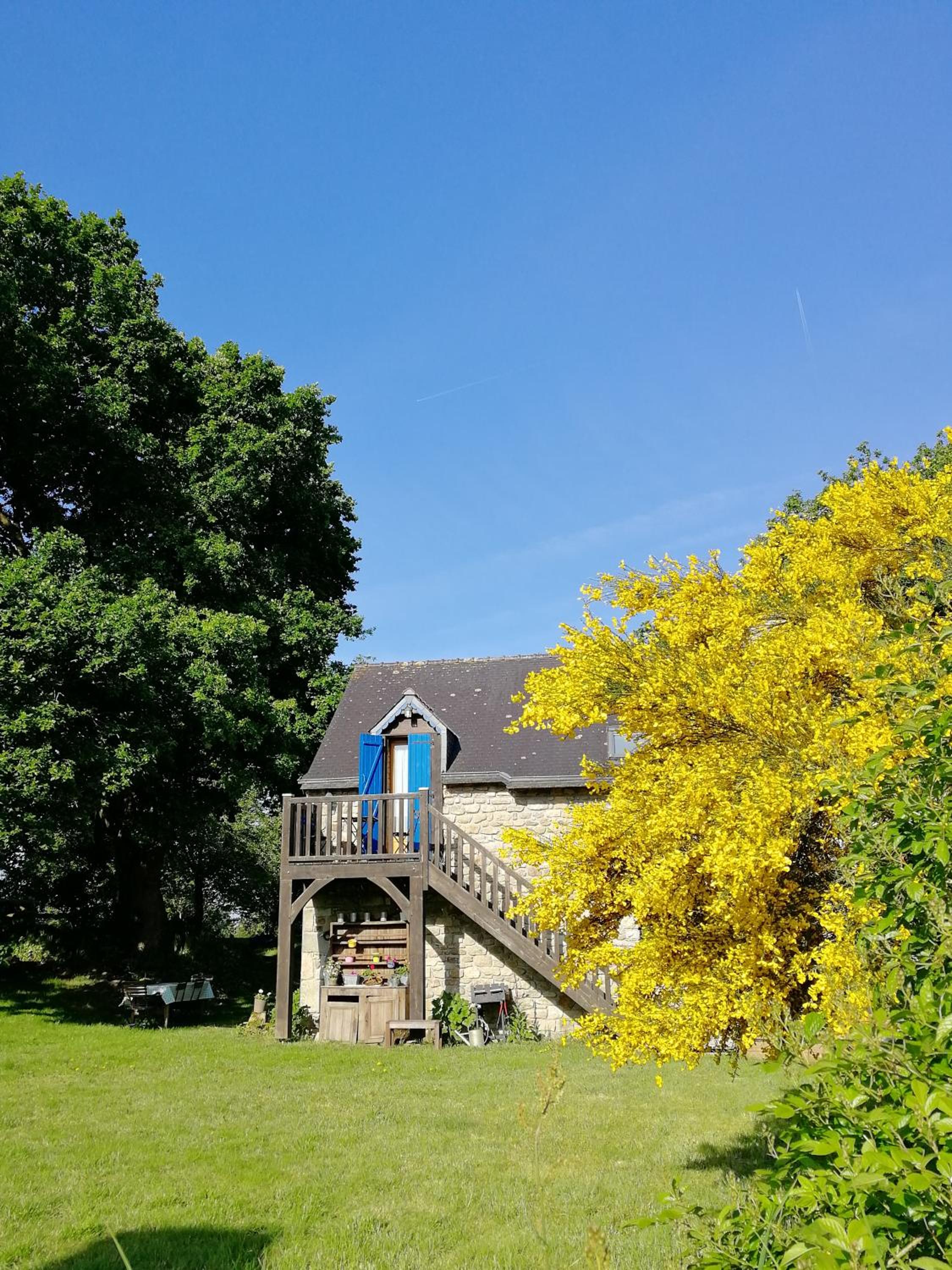 Photo 17
