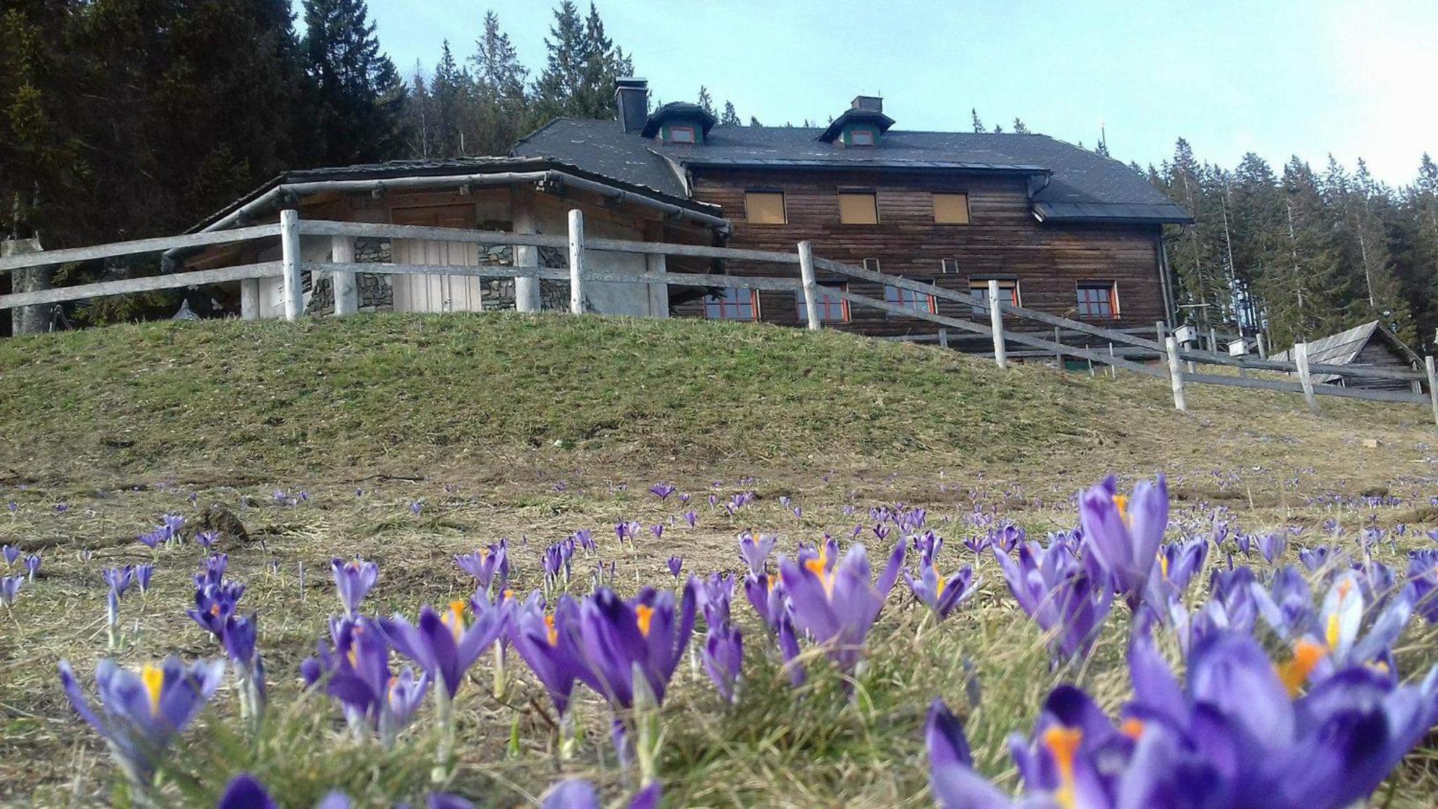 Mountain Lodge Smrekovc