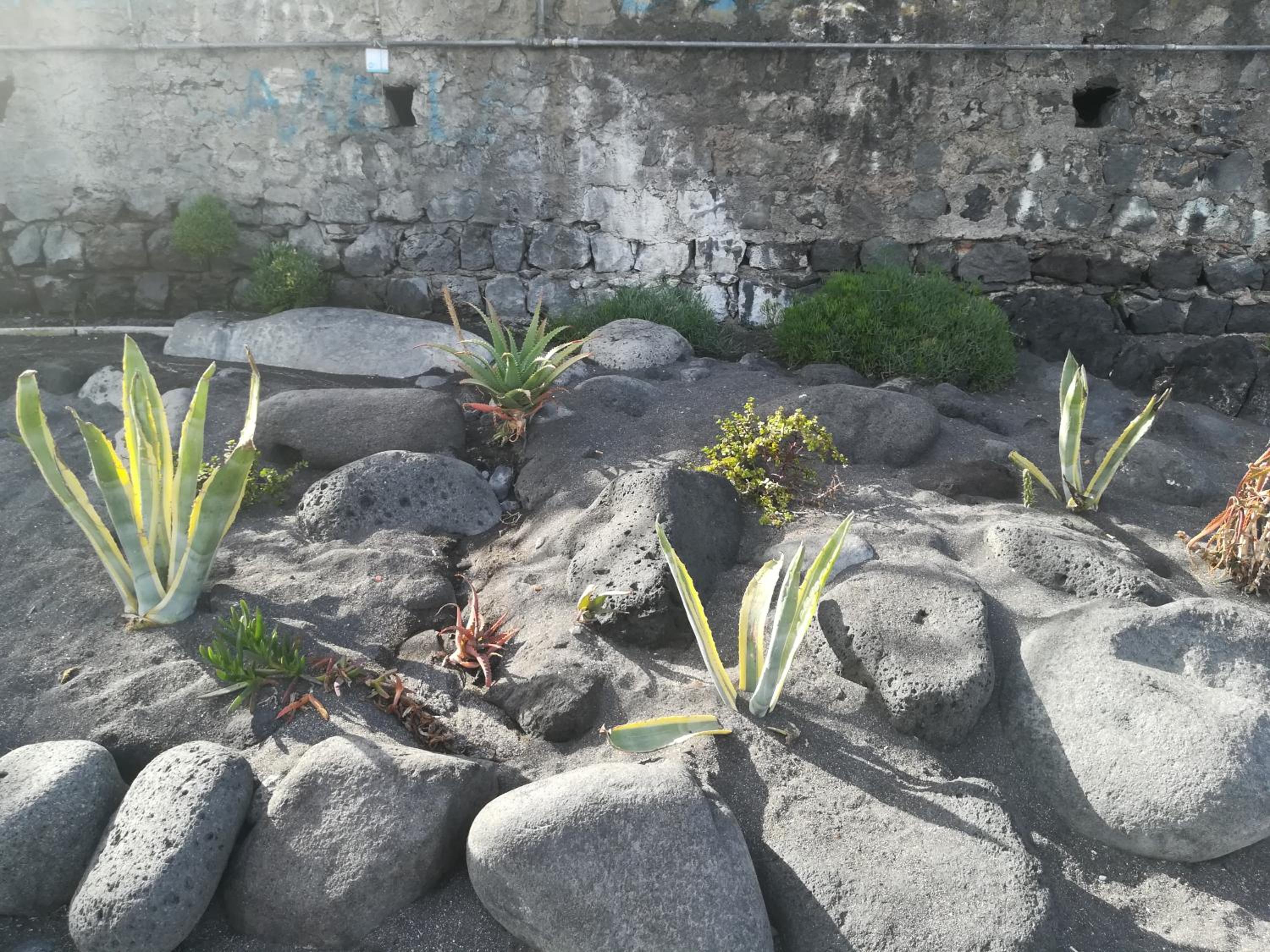 appartamento sabbia dell' etna photo 2
