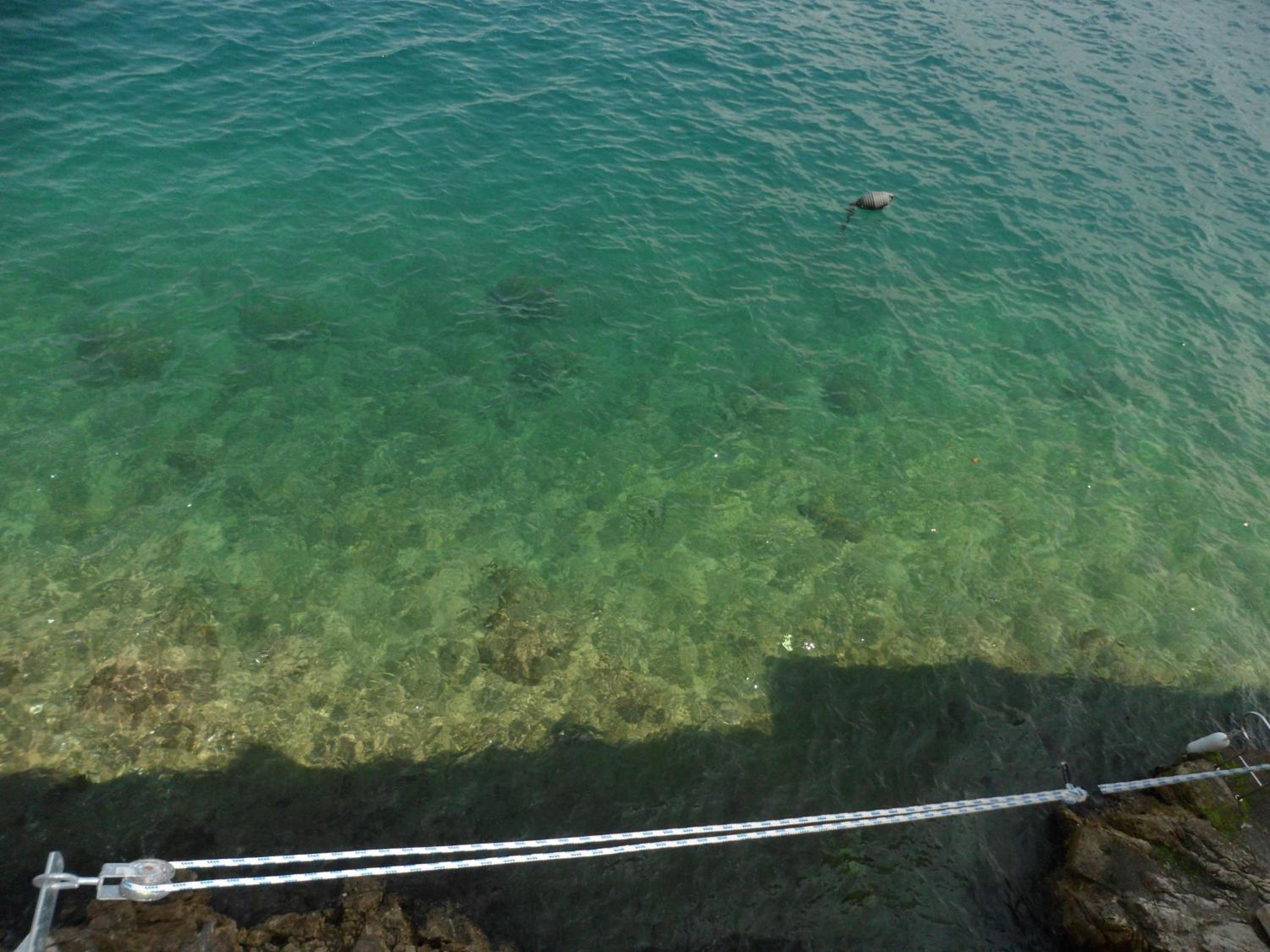 Blue Sea View
