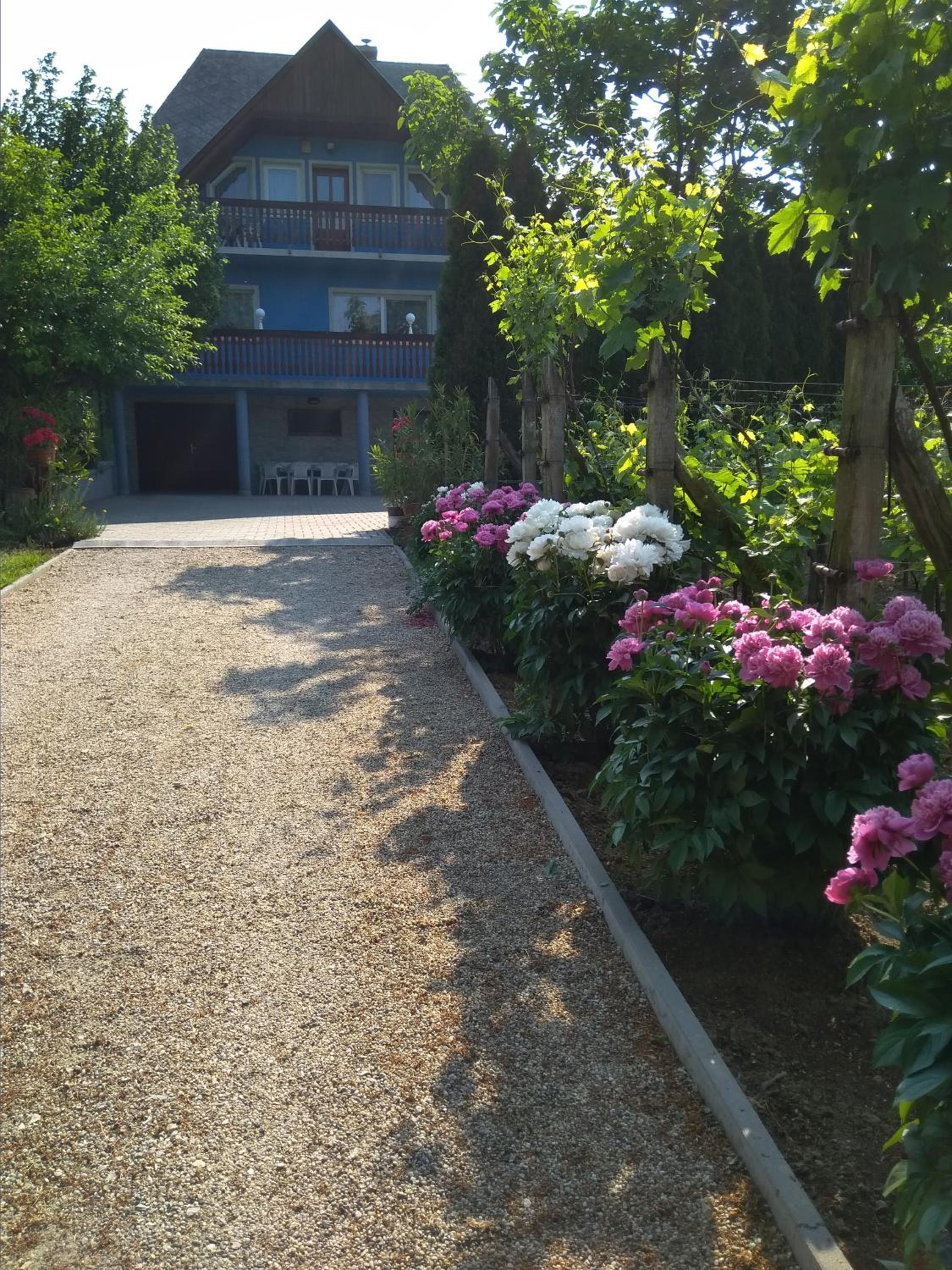Szőlőskert Apartman view 3